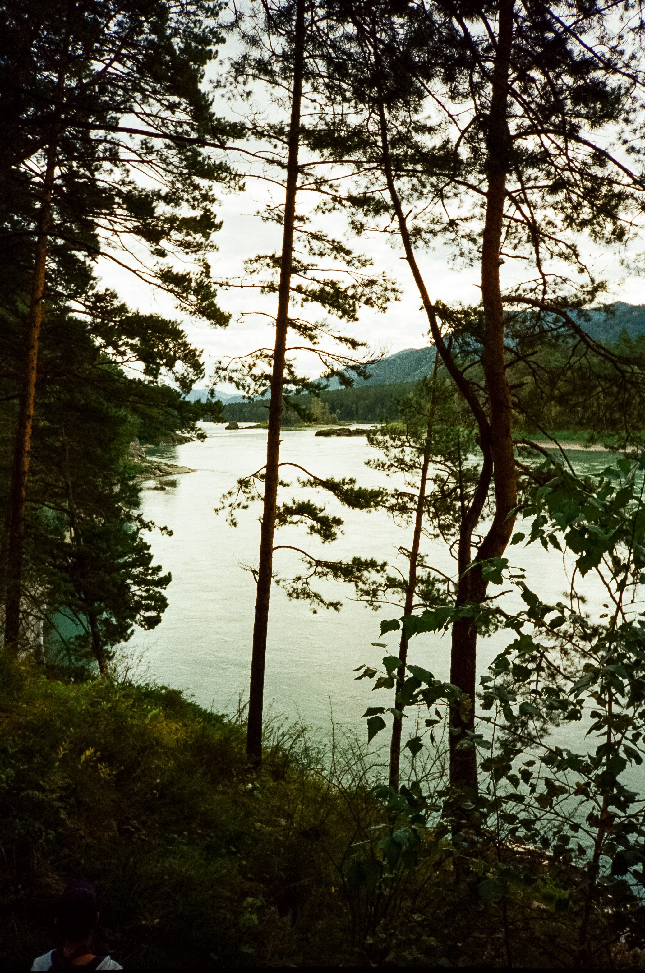 Горный курорт Манжерок, мост Царская охота и Белые скалы. Фотограф-документалист Мария Осокина
