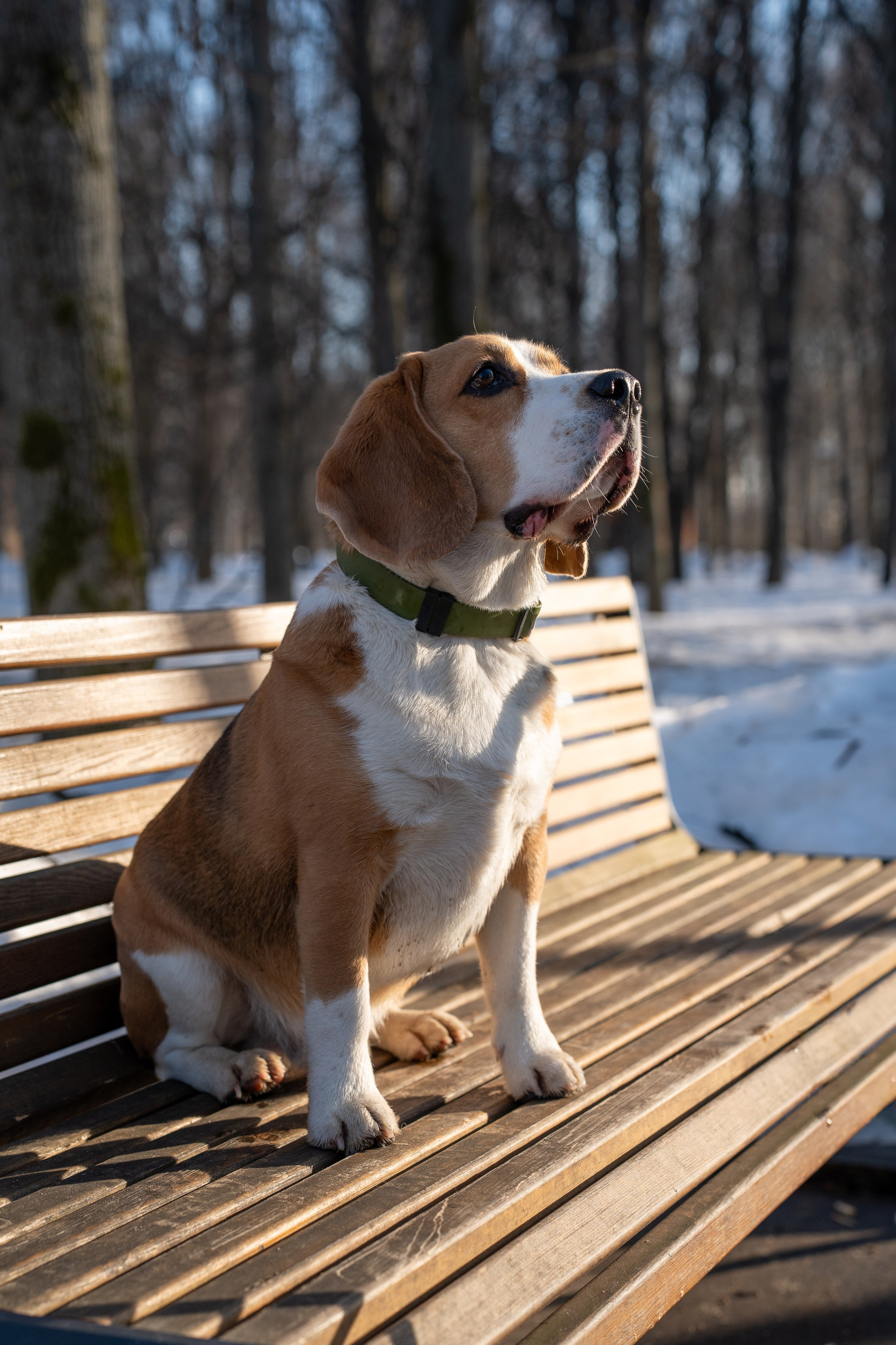Фотограф Алиса Счастливая | Свадьбы, дети, спорт | Москва