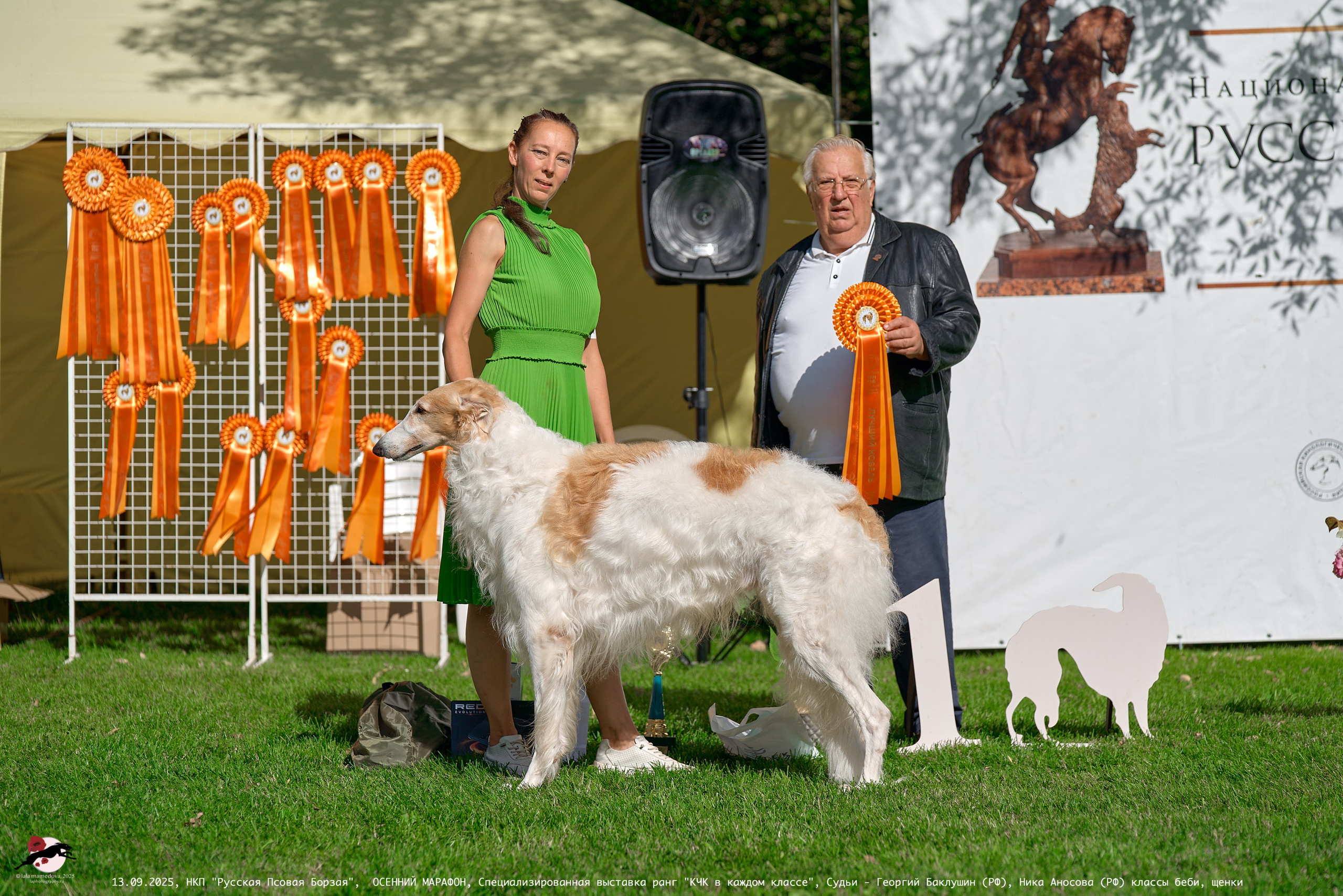 ОСЕННИЙ МАРАФОН | Специализированная выставка породы Русская Псовая Борзая ранг "КЧК в каждом классе"