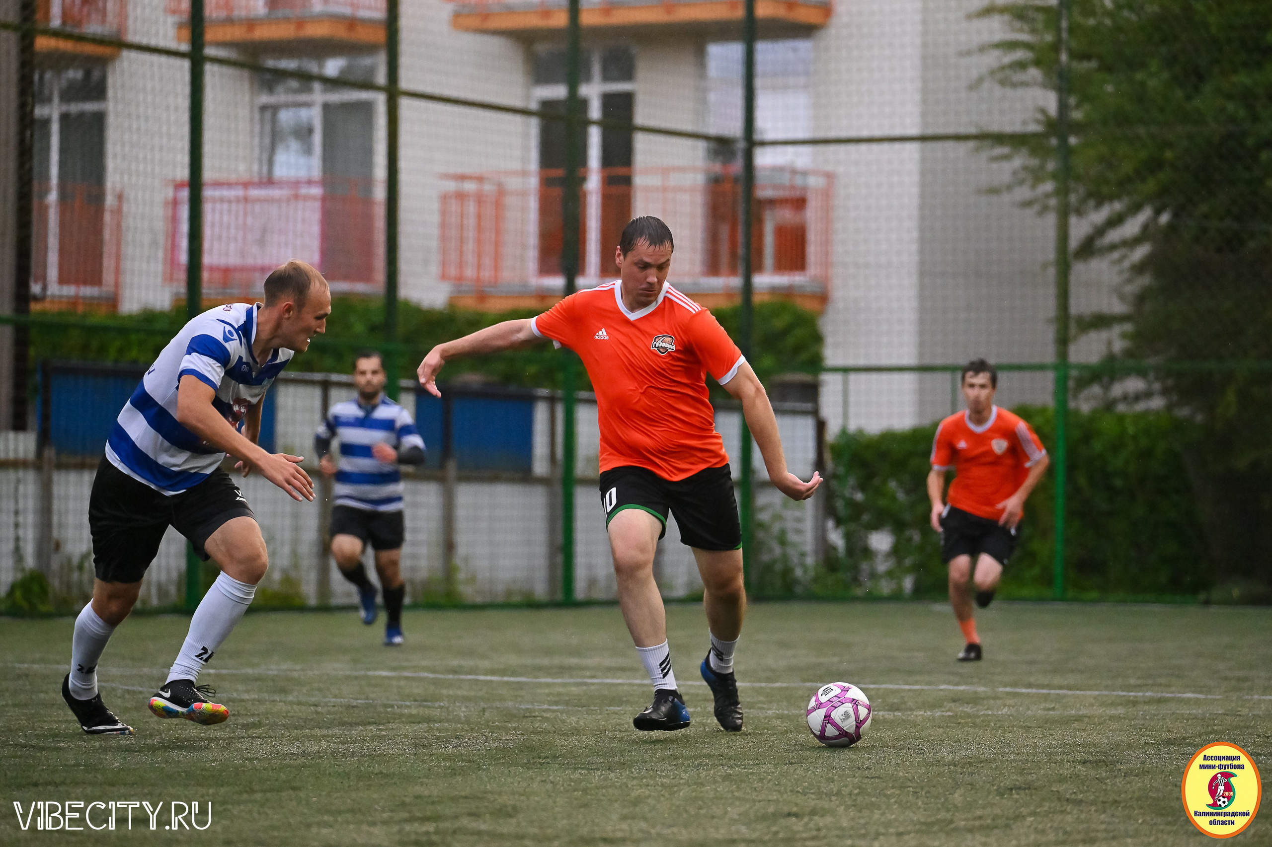 ИГРЫ МИНИ-ФУТБОЛЬНОЙ И КОРПОРАТИВНОЙ ЛИГИ. VIBECITY.RU Вайб Сити Ру Фоторепортажи Фотоотчеты Калининград