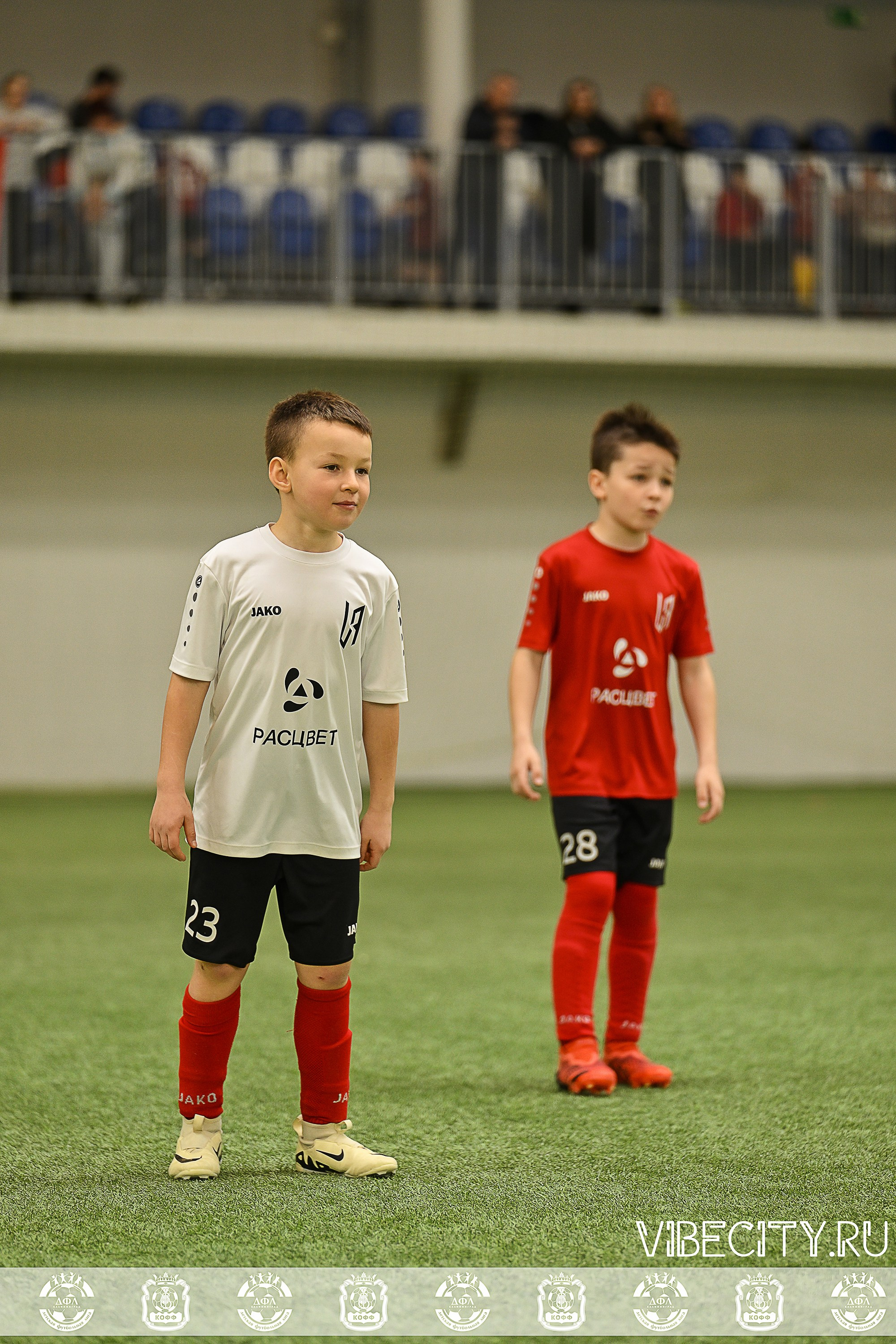 КУБОК БАЛТИЙСКОЙ ЛИГИ ПО МИНИ-ФУТБОЛУ U9 ЗЛ. VIBECITY.RU Вайб Сити Ру Фоторепортажи Фотоотчеты Калининград