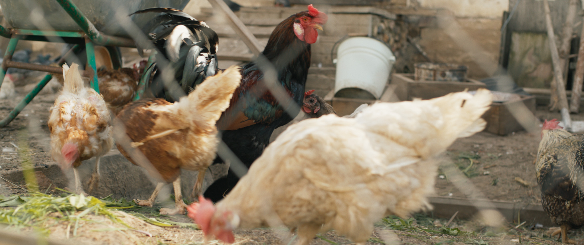 Цветокоррекция и монтаж фильмов, клипов и рекламы