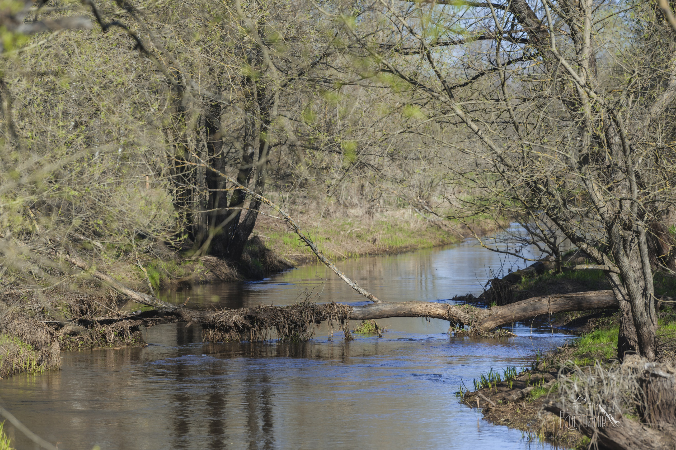 Сплав по реке Тремля 5 апреля 2026 года. Репортажный фотограф Владимир Беляй