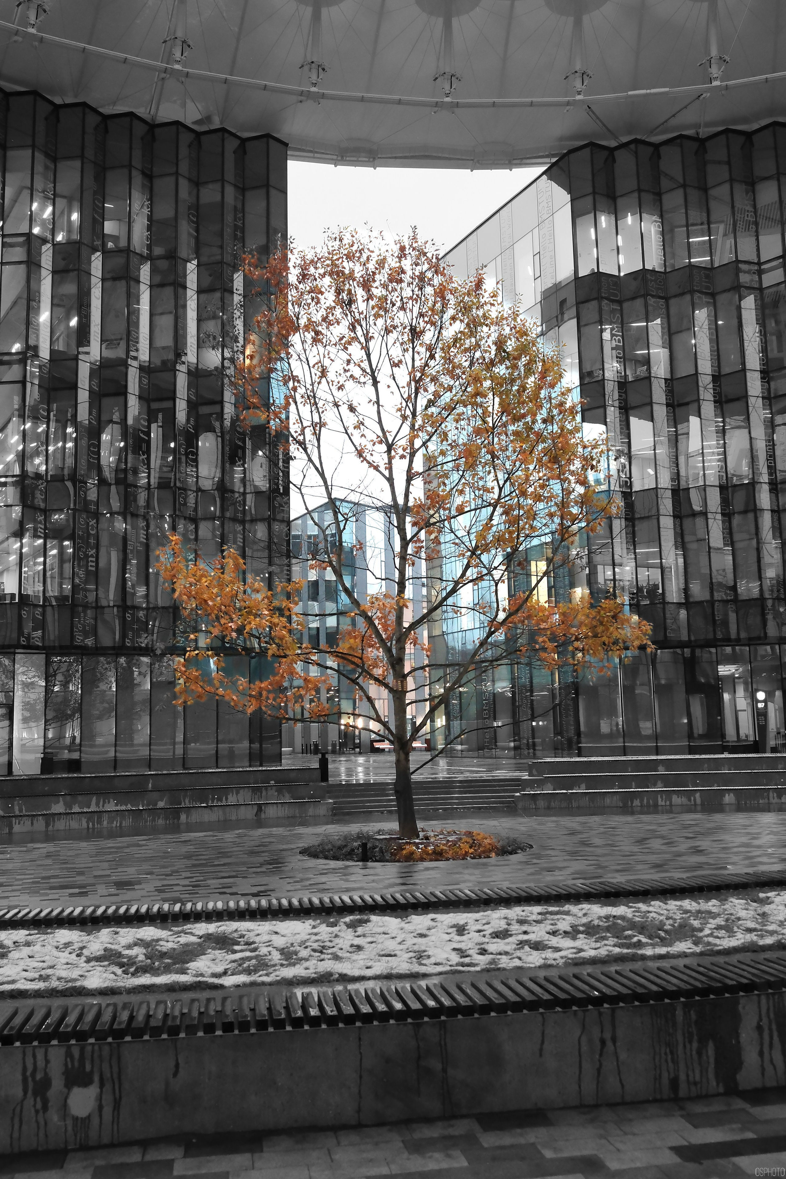 МГТУ им. Баумана. Фотографъ Сергѣевъ. Поймать мгновеніе