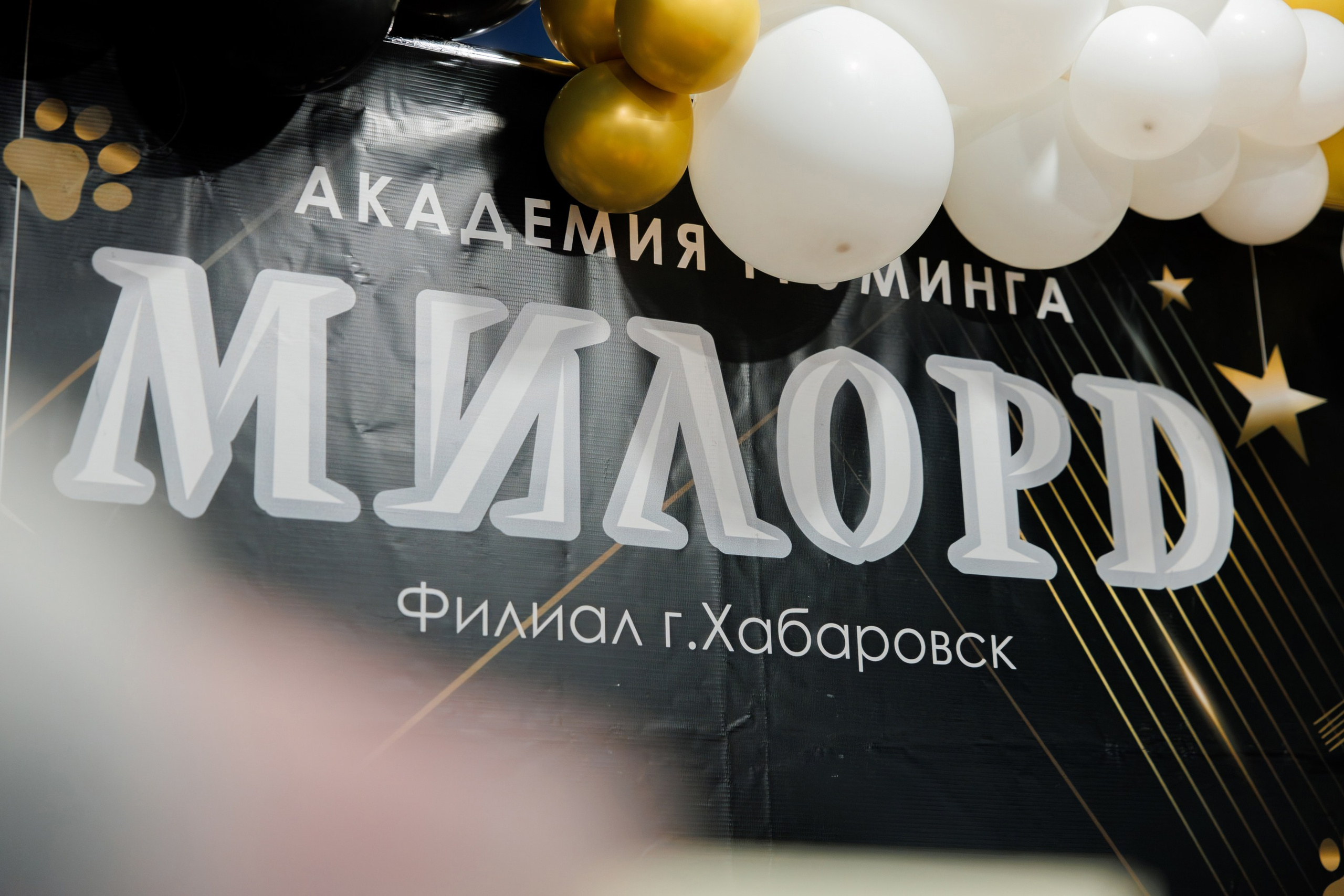 МОДНЫЙ ПОКАЗ. СВОИ. ФОТООТЧЕТЫ-СОБЫТИЯ-МЕСТА
