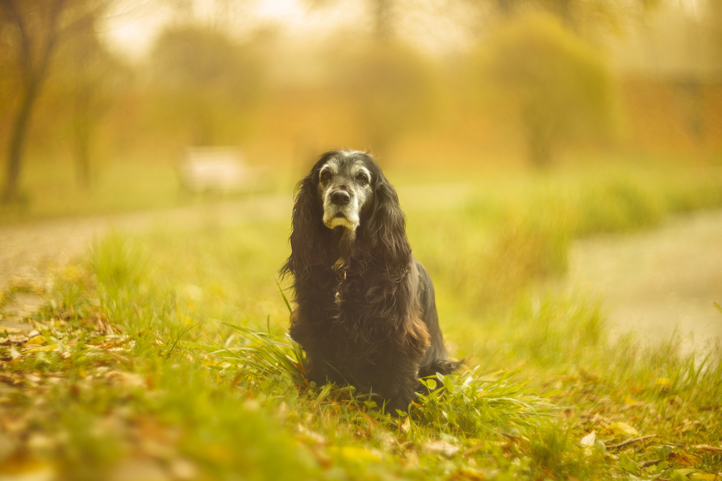Серия «Цвет переосмыслений». Фотограф в Москве Татьяна Макотра