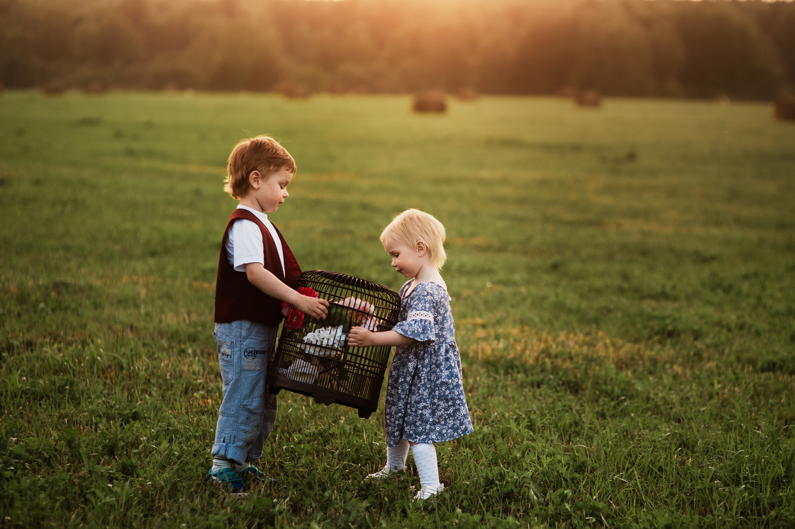 Фотосессия семьи с маленьким детьми в поле. Портретный фотограф в Москве, Московской области. Деловой портрет