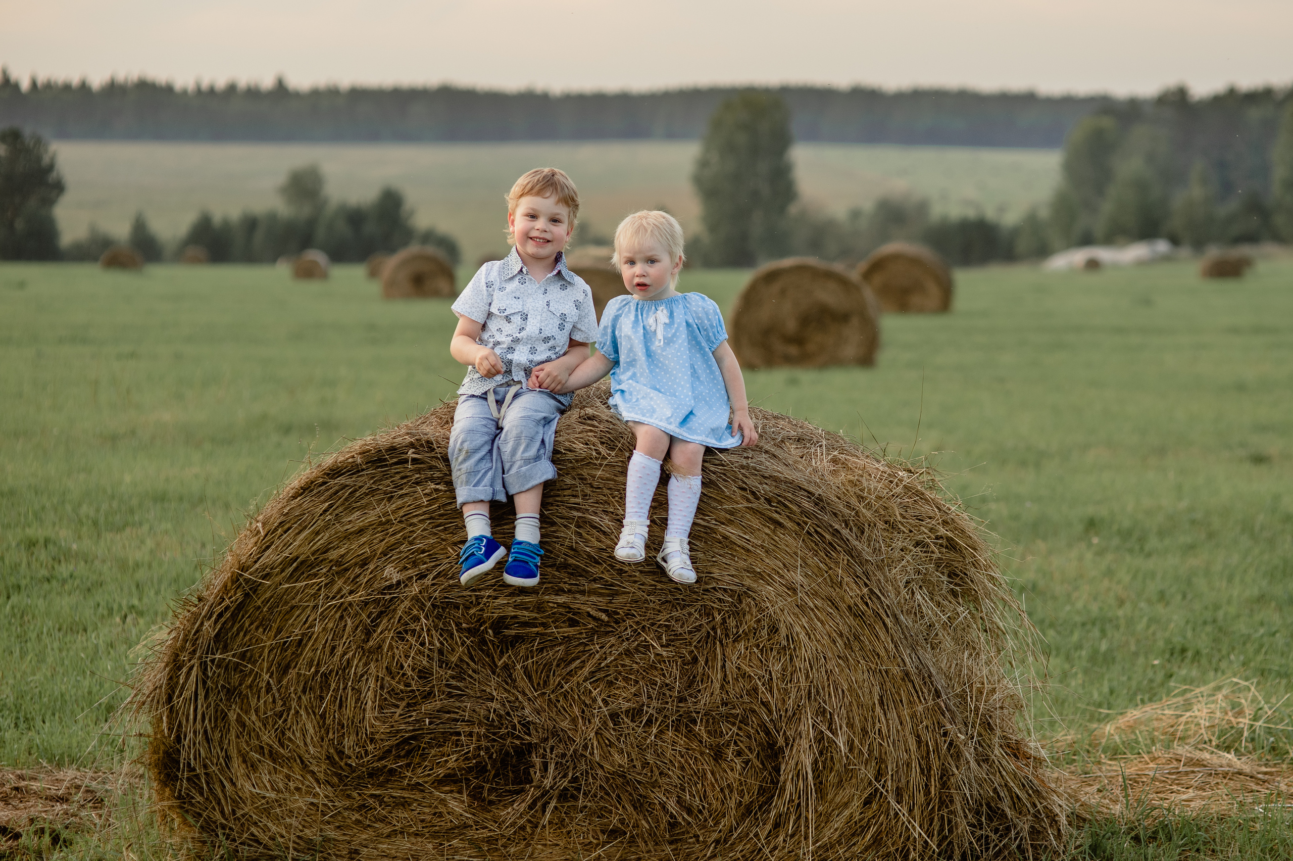Фотосессия семьи с маленьким детьми в поле. Портретный фотограф в Москве, Московской области. Деловой портрет