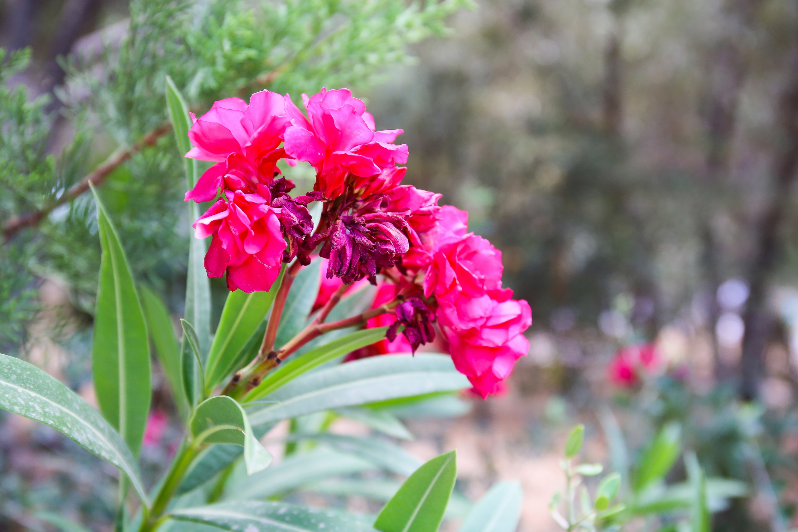 Греция: Афины — колыбель европейской цивилизации и восточный базар. Дарья Письменюк / Darya Leitstern — фотограф, музыкант, журналист, путешественник