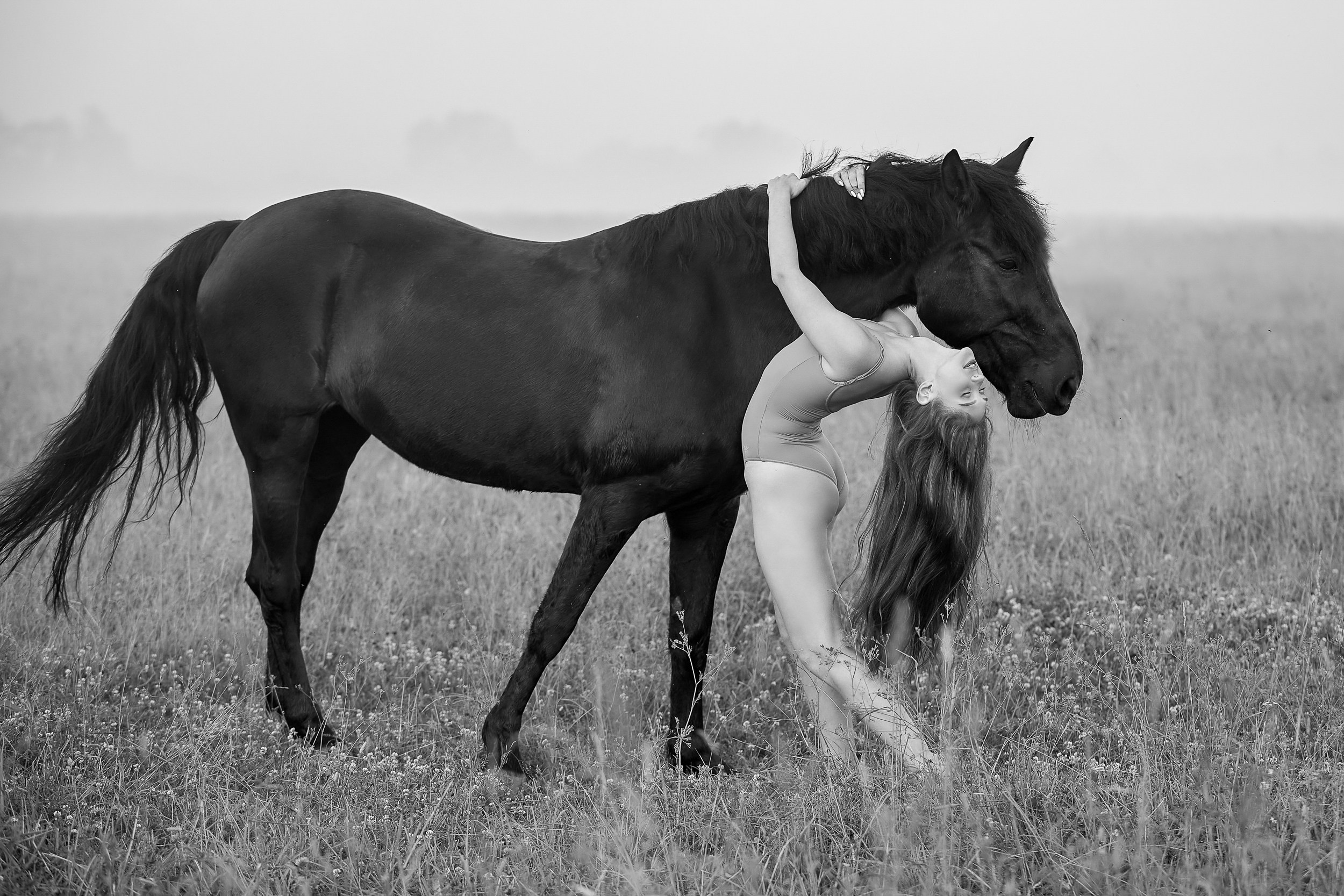 Балет и лошади, фотосессия «ГРАЦИЯ и СИЛА-1» Фотограф Михаил Семенов г. Ярославль