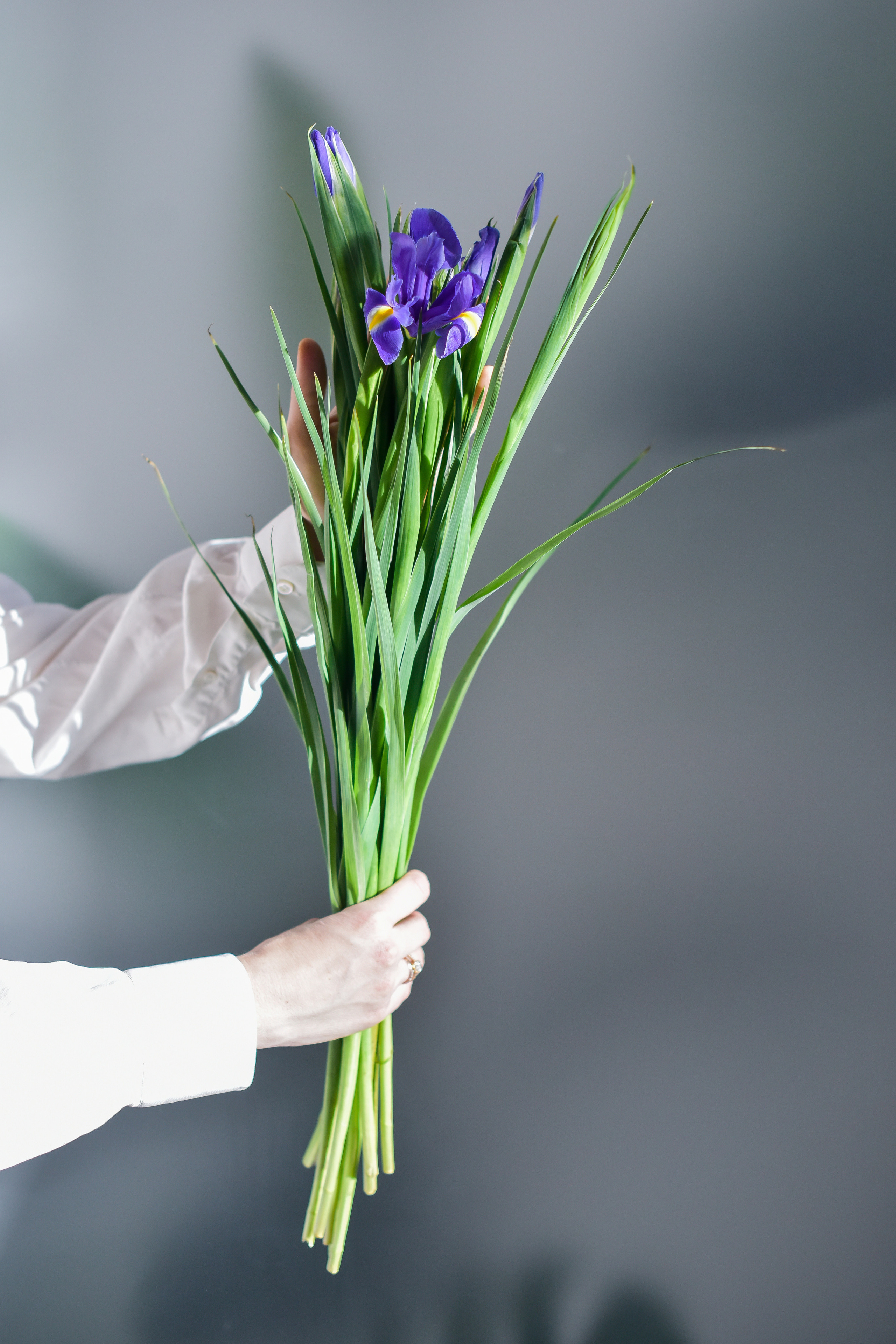 Яна и ее команда. Фотограф для бизнесконтента, репортажей и семейного альбома в Москве