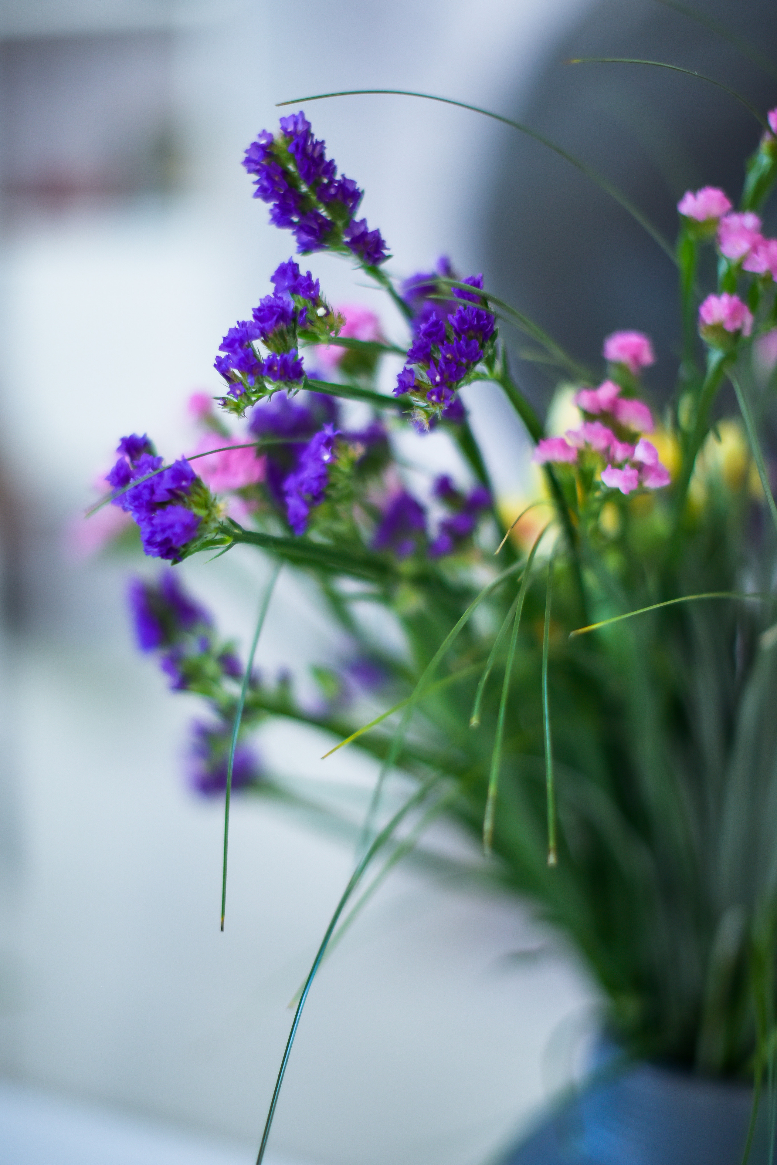 Яна и ее команда. Фотограф для бизнесконтента, репортажей и семейного альбома в Москве