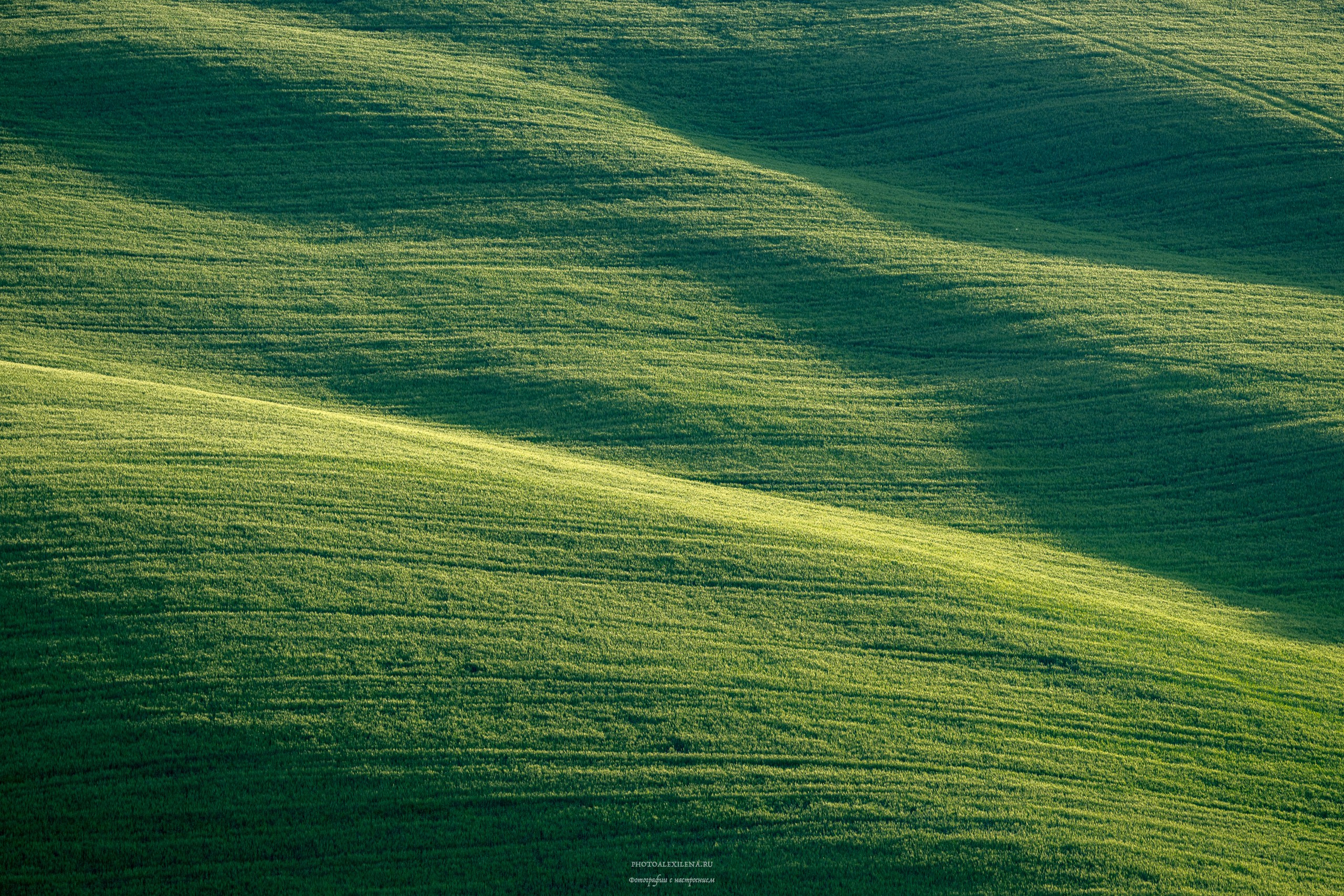 Долина Крете Сенези (Crete Senesi). Авторские стильные фотокартины