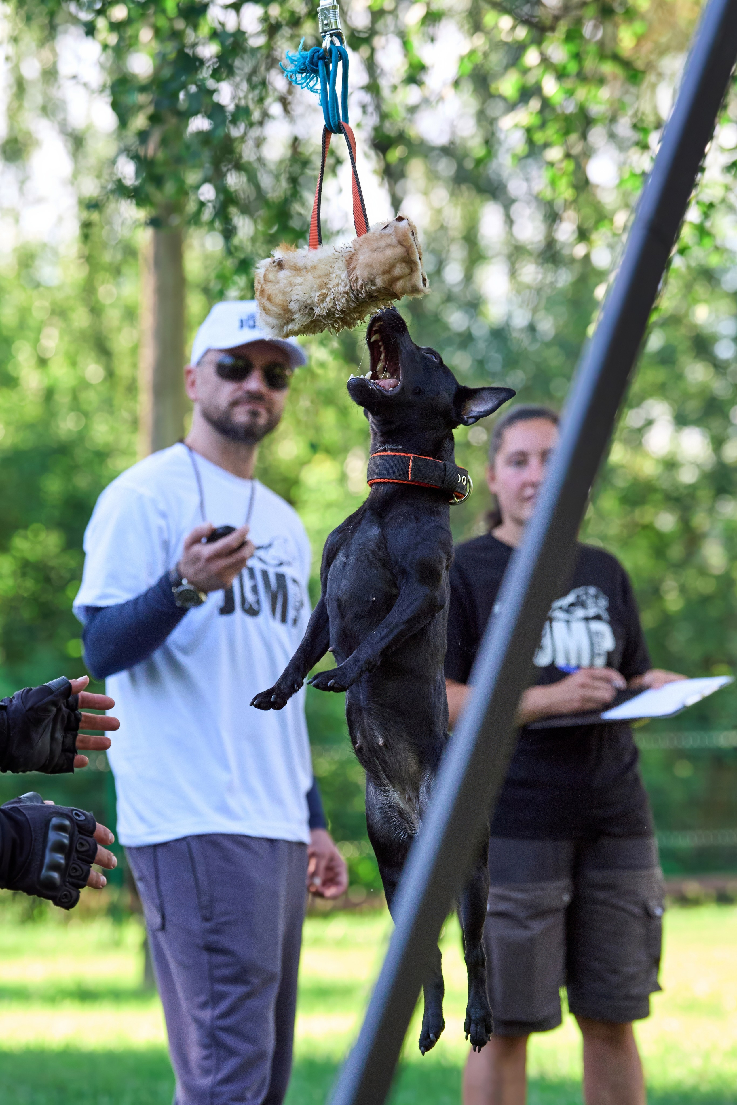 Двухдневные соревнования «Jump'n'Gym Fest — 2024». Фотограф-анималист Михаил Манухин