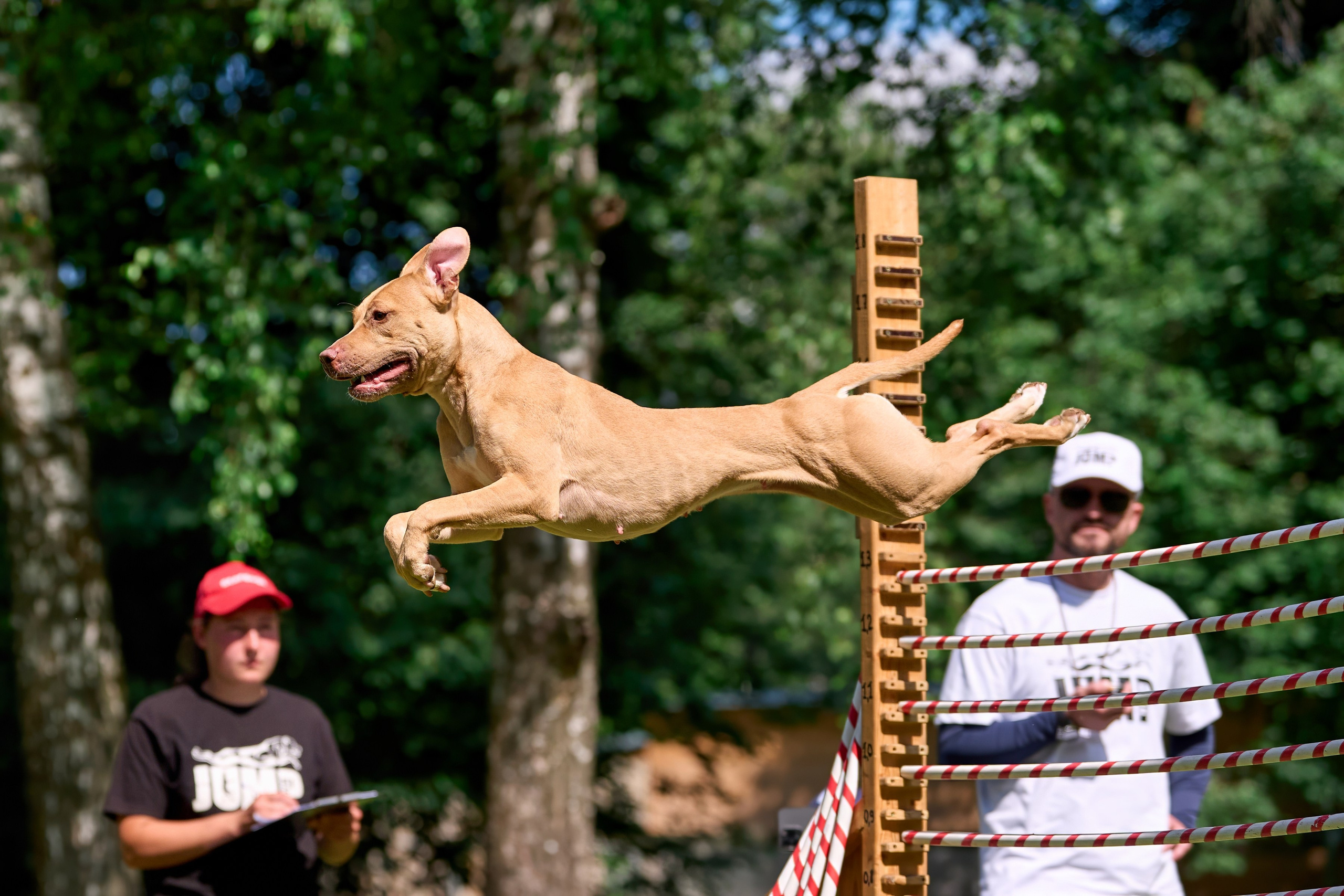 Двухдневные соревнования «Jump'n'Gym Fest — 2024». Фотограф-анималист Михаил Манухин