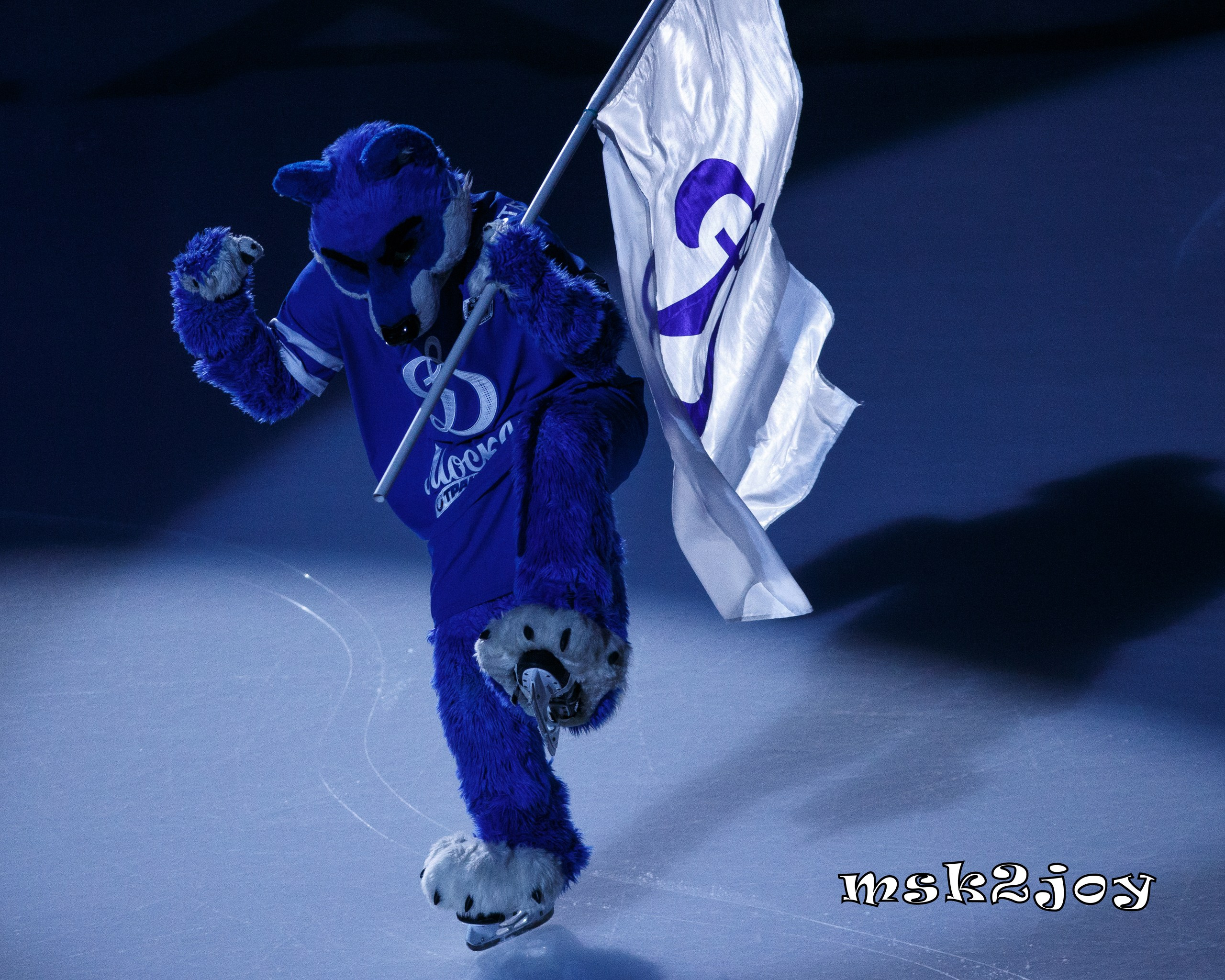 Фоторепортаж. КХЛ. «Динамо» (Москва) — «Локомотив» (Ярославль). Михаил Тоцкий портретный и репортажный фотограф в Москве