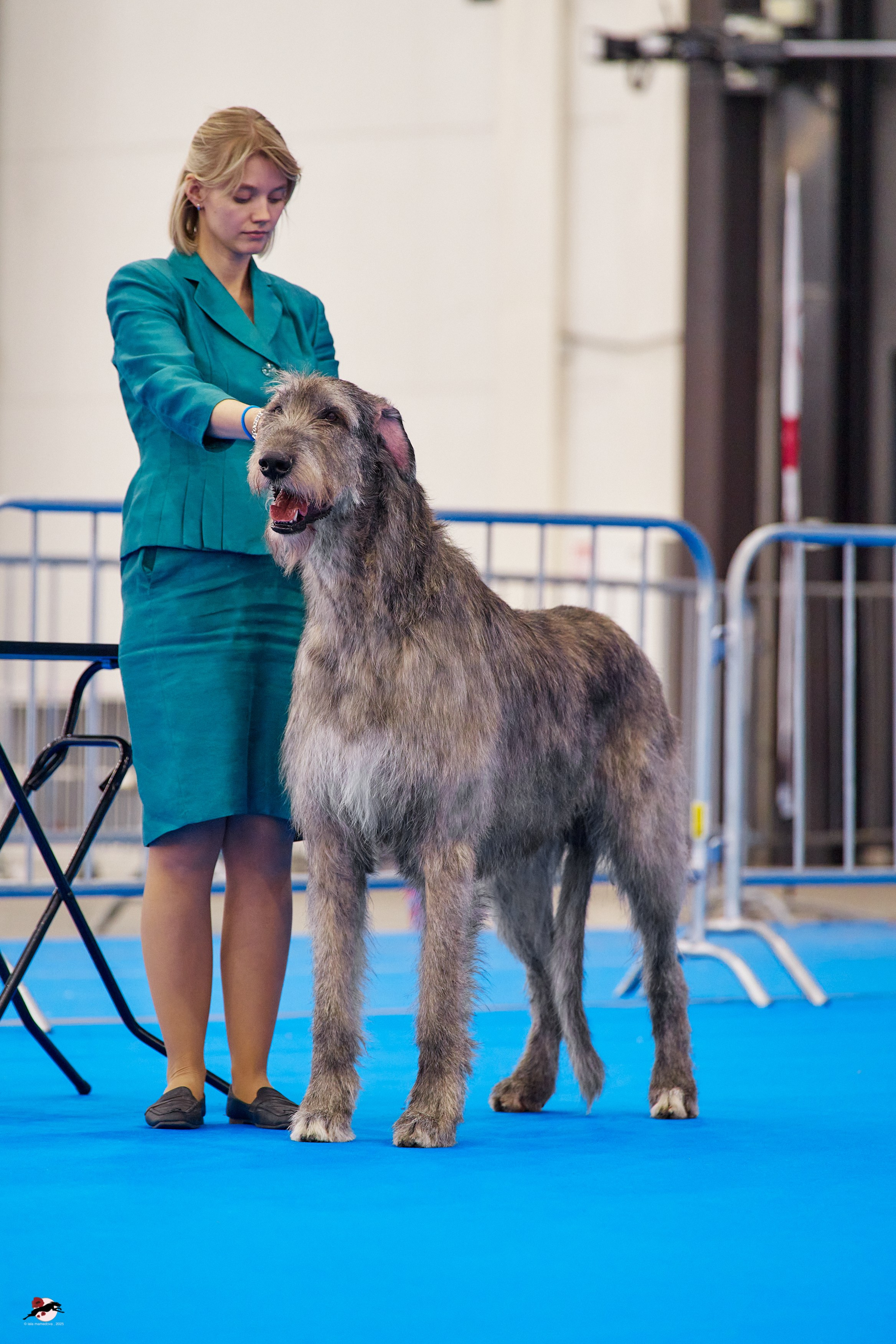 ГРАН ПРИ «ВЕСЕННИЙ ПЕТЕРБУРГ» & «СУПЕР КУБОК «ЭЛИТЫ»-2025»