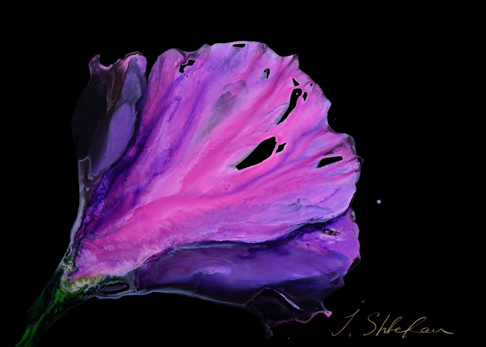 Картина художника Flors, Барселона, Европа, 2023–2025, размер 105×75 см, акрил пластик Painting by artist Flors, Barcelona, Europe, 2023–2025, size 105×75 cm, acrylic plastic Pintura del artista Flors, Barcelona, Europa, 2023–2025, tamaño 105×75 cm, acrílico plástico картина в интерьер, дизайн картина цветы орхидея интерьерная картина, pintura en el interior, pintura de diseño flores orquídeas pintura interior, painting in the interior, design painting flowers orchid interior painting