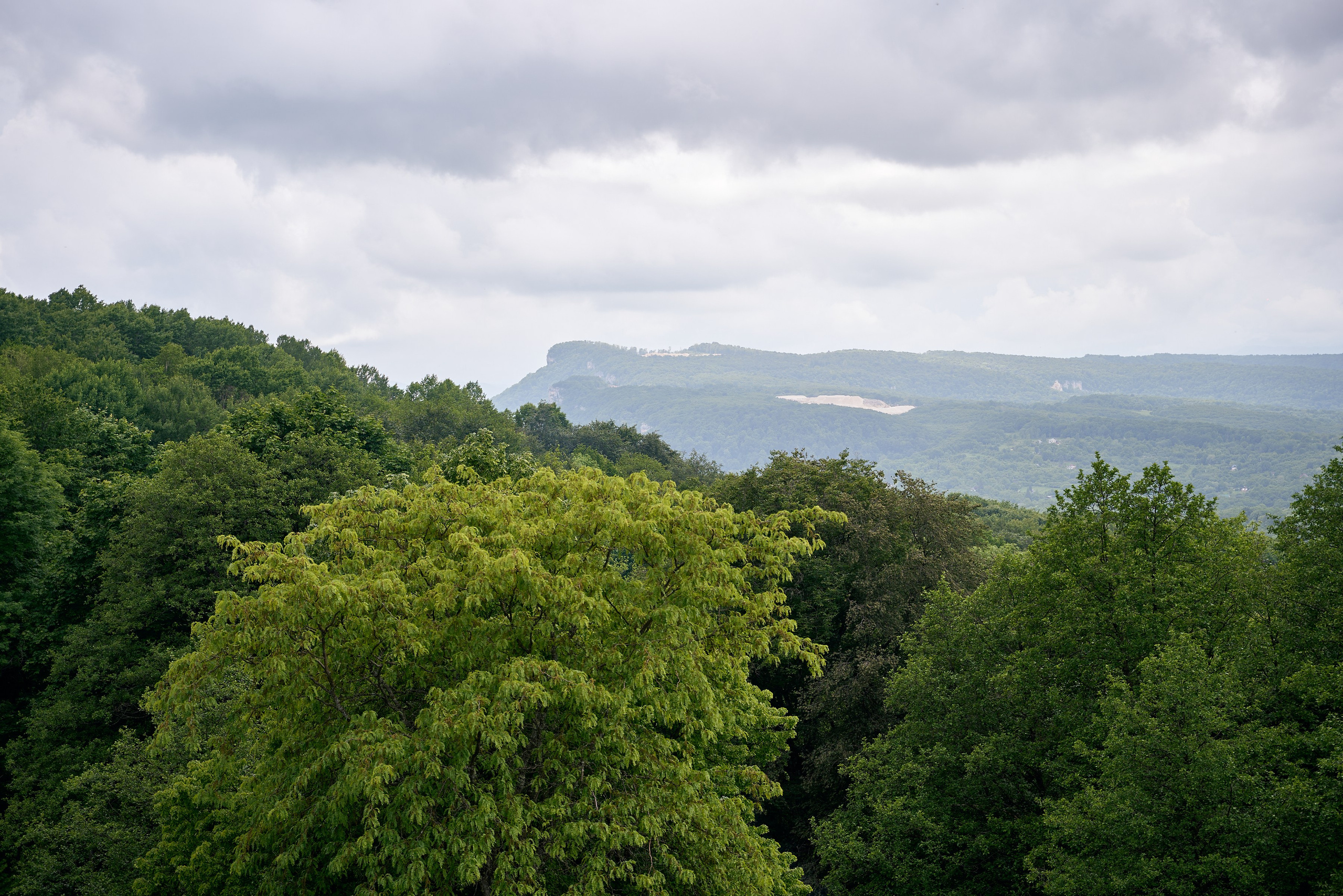 Монастырь. Петр Ступень. Свадебное, семейное фото и видео. Москва. Краснодар