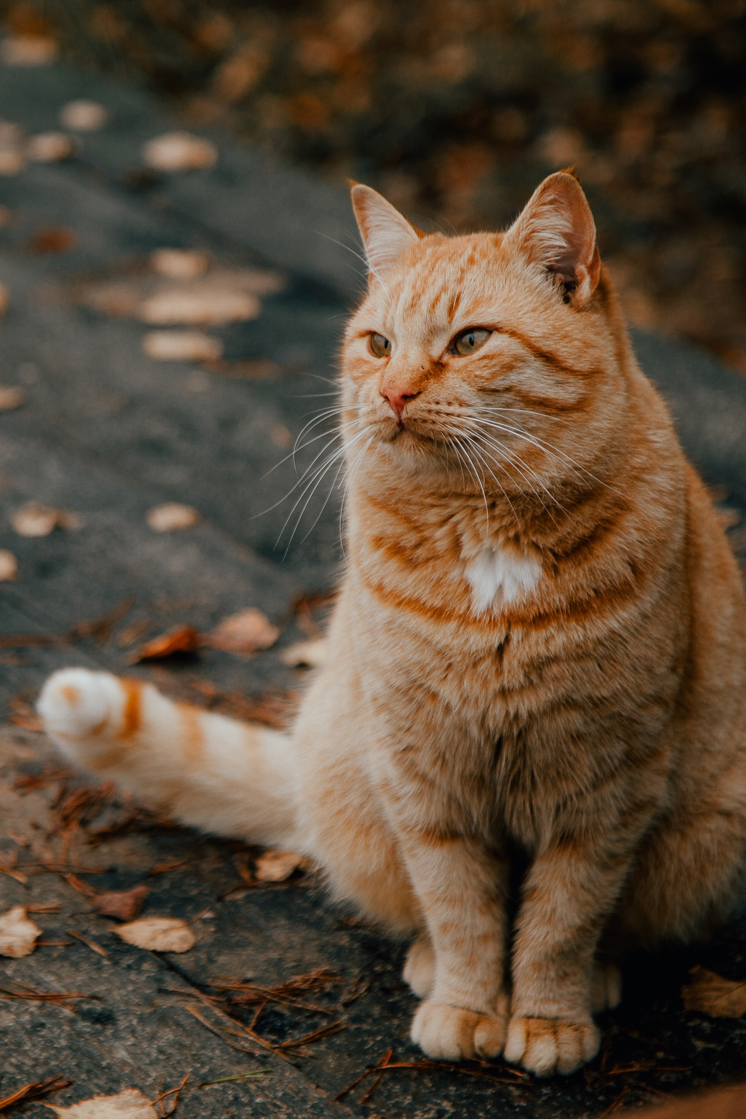 ПодСОЛНЕЧНЫЙ lifestyle фотограф | Санкт-Петербург