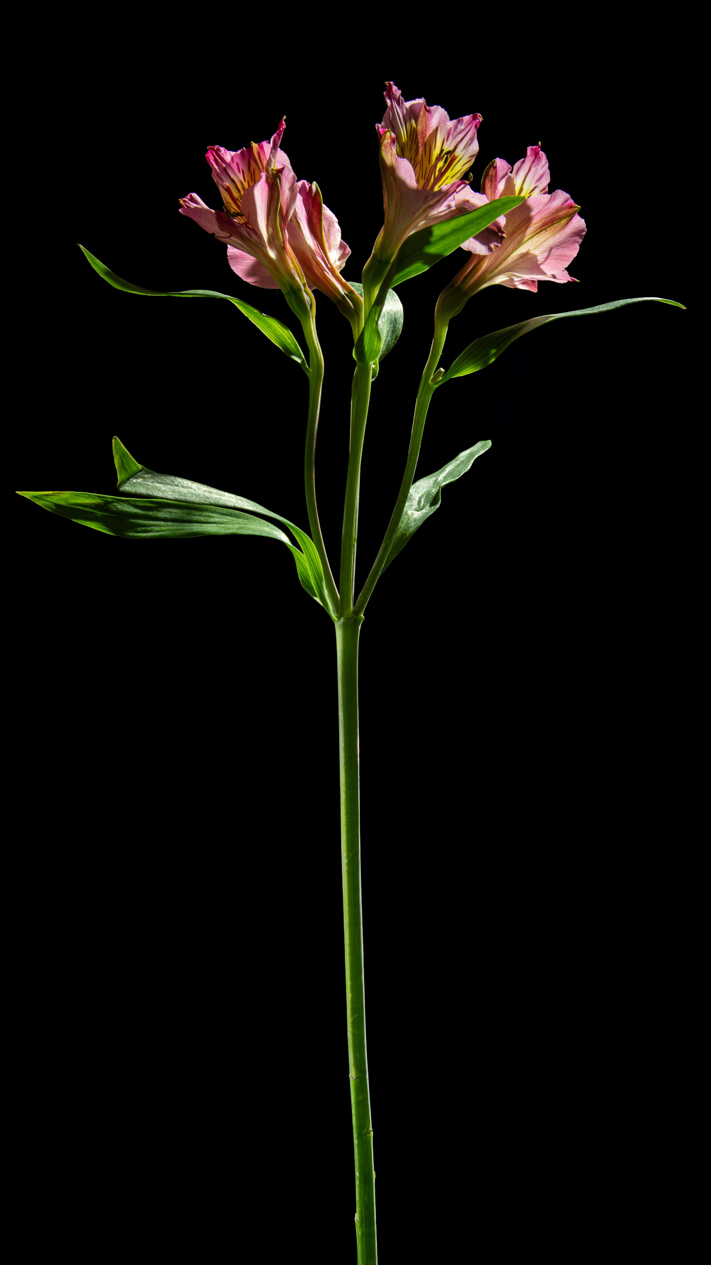 Проекты. Sakunov Photo