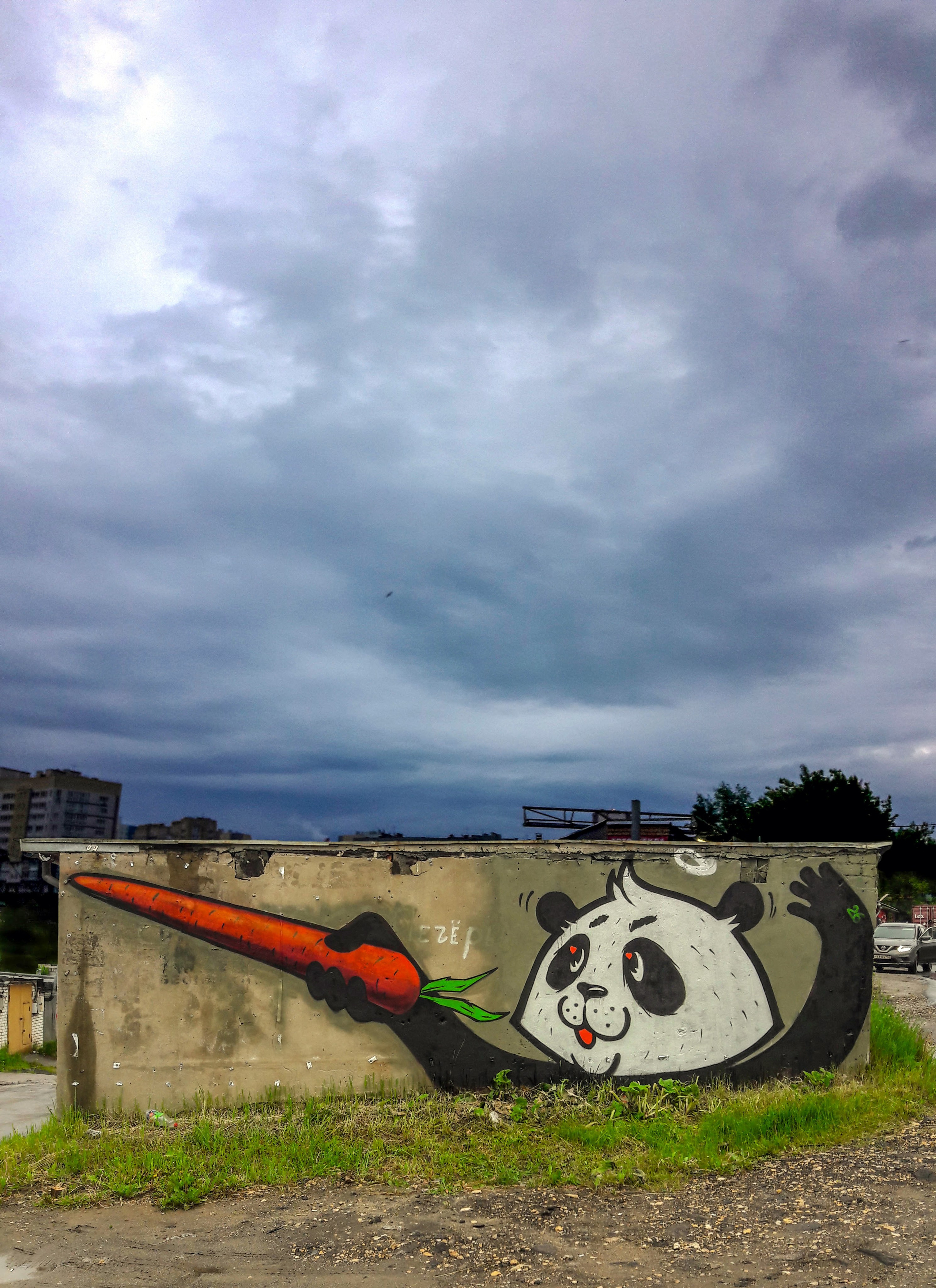 Graffiti. Alexander Stan Shimanov