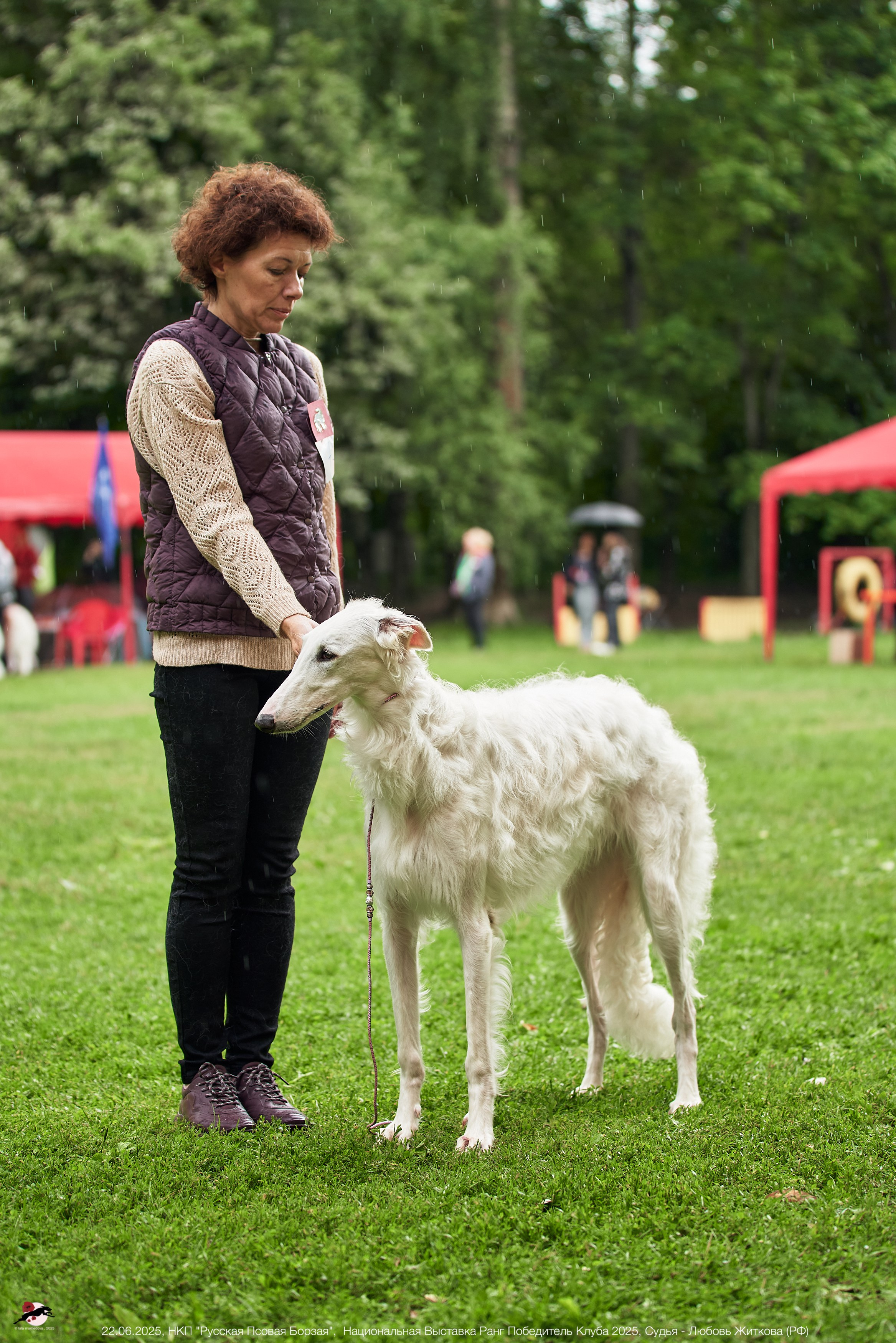 22.06.2025 | Национальная Выставка НКП "Русская Псовая Борзая"