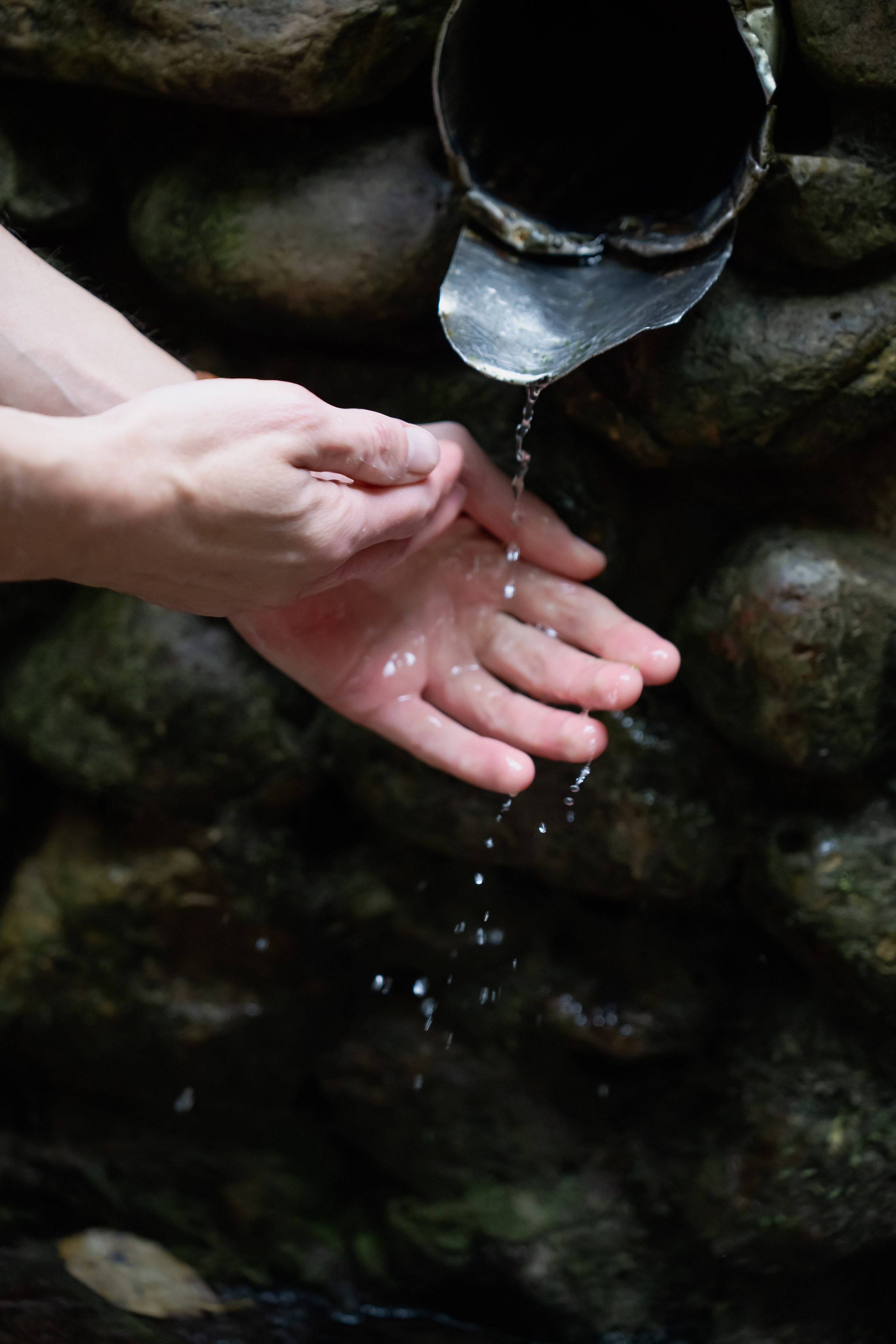 Фотосессия в Коломенском. Фотограф в Москве