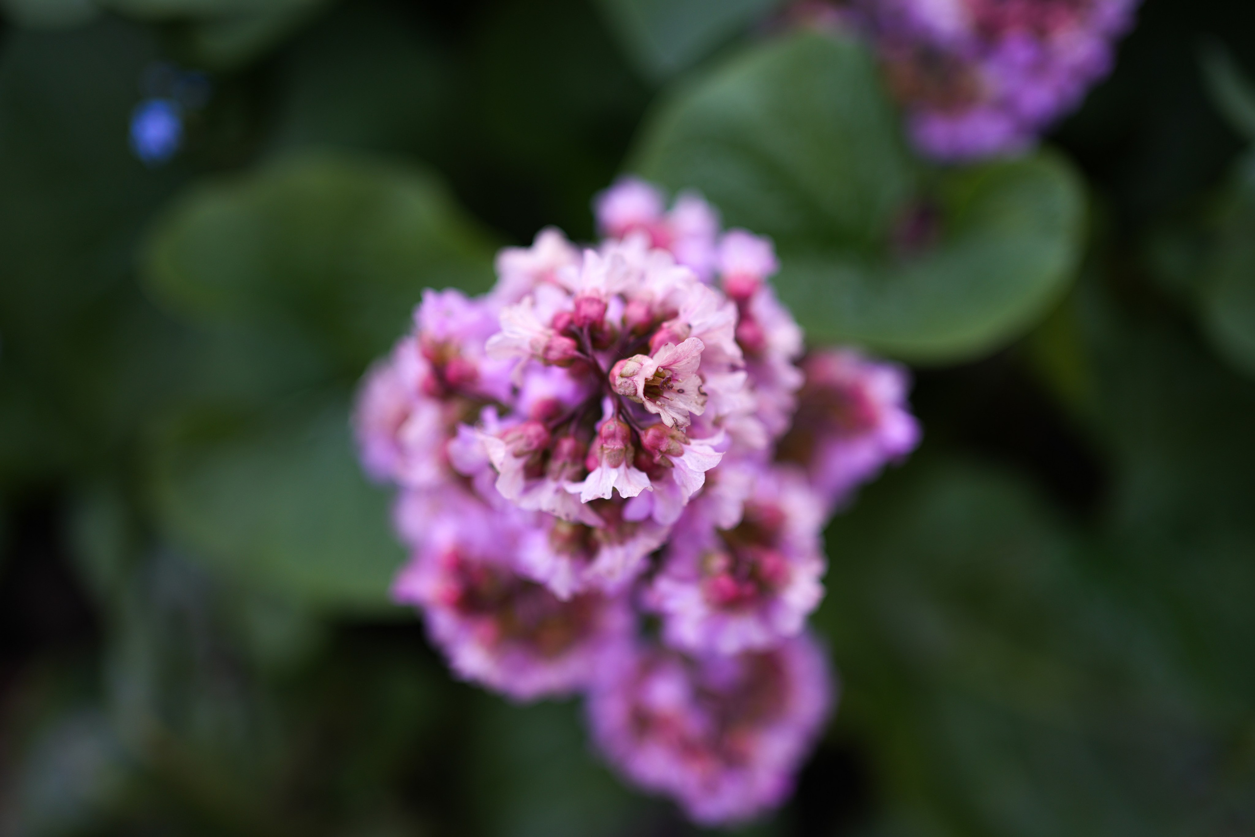 Пасха в Егорьевске 2024. Фотограф Антон Кириллов