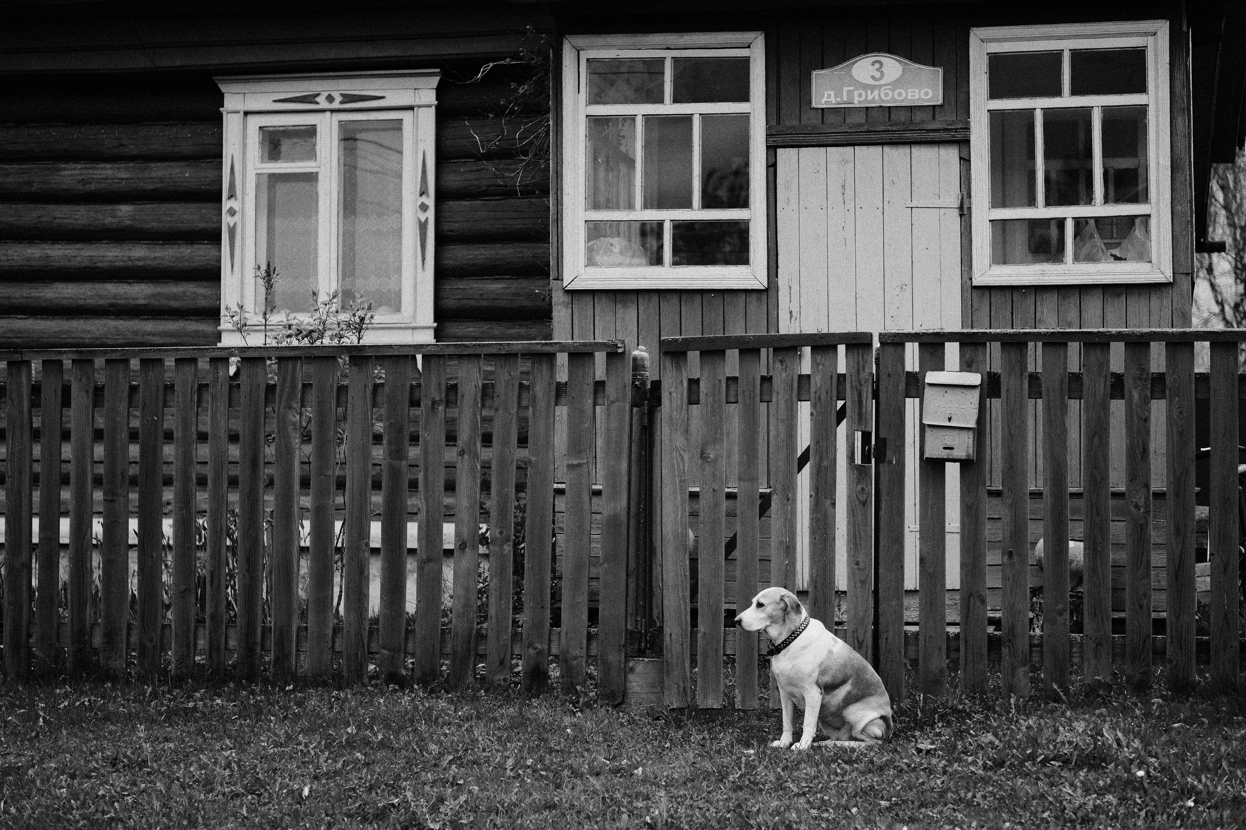 Грибово 10.05.26 «Русское осознанное». Фотострелка