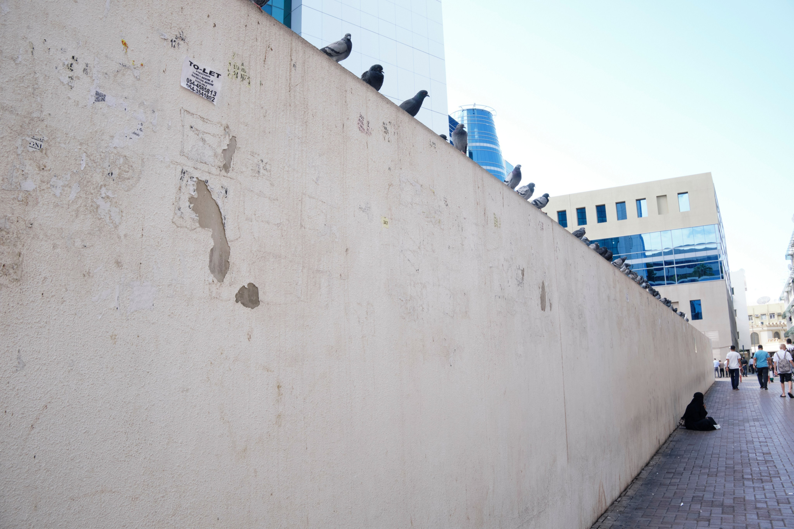 Дубай. Елена Павленко. Фотограф. Москва