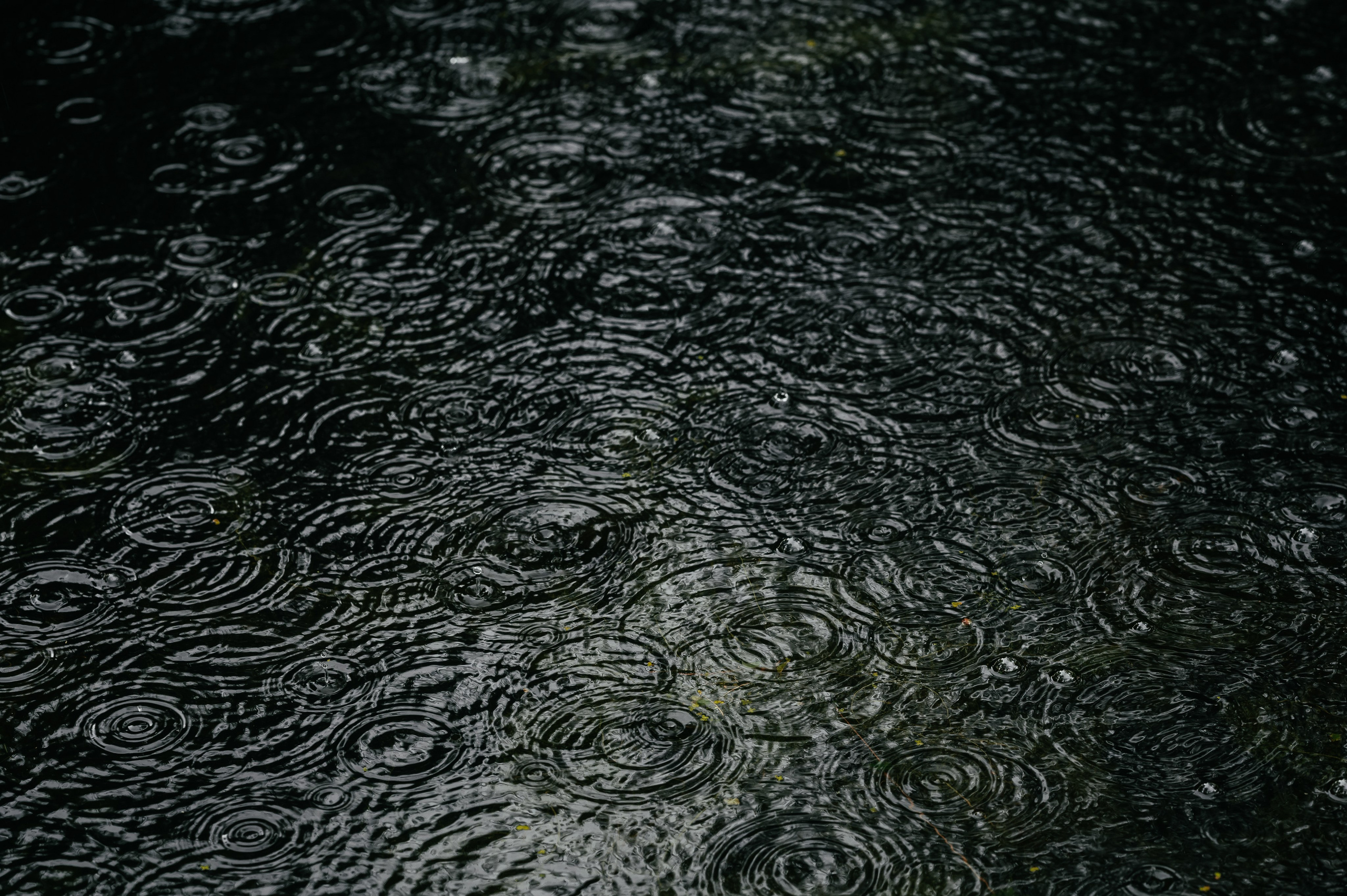 А как Вам такая идея?. Свадебный и семейный фотограф Виктория Носачёва. Щелково, Москва и МО