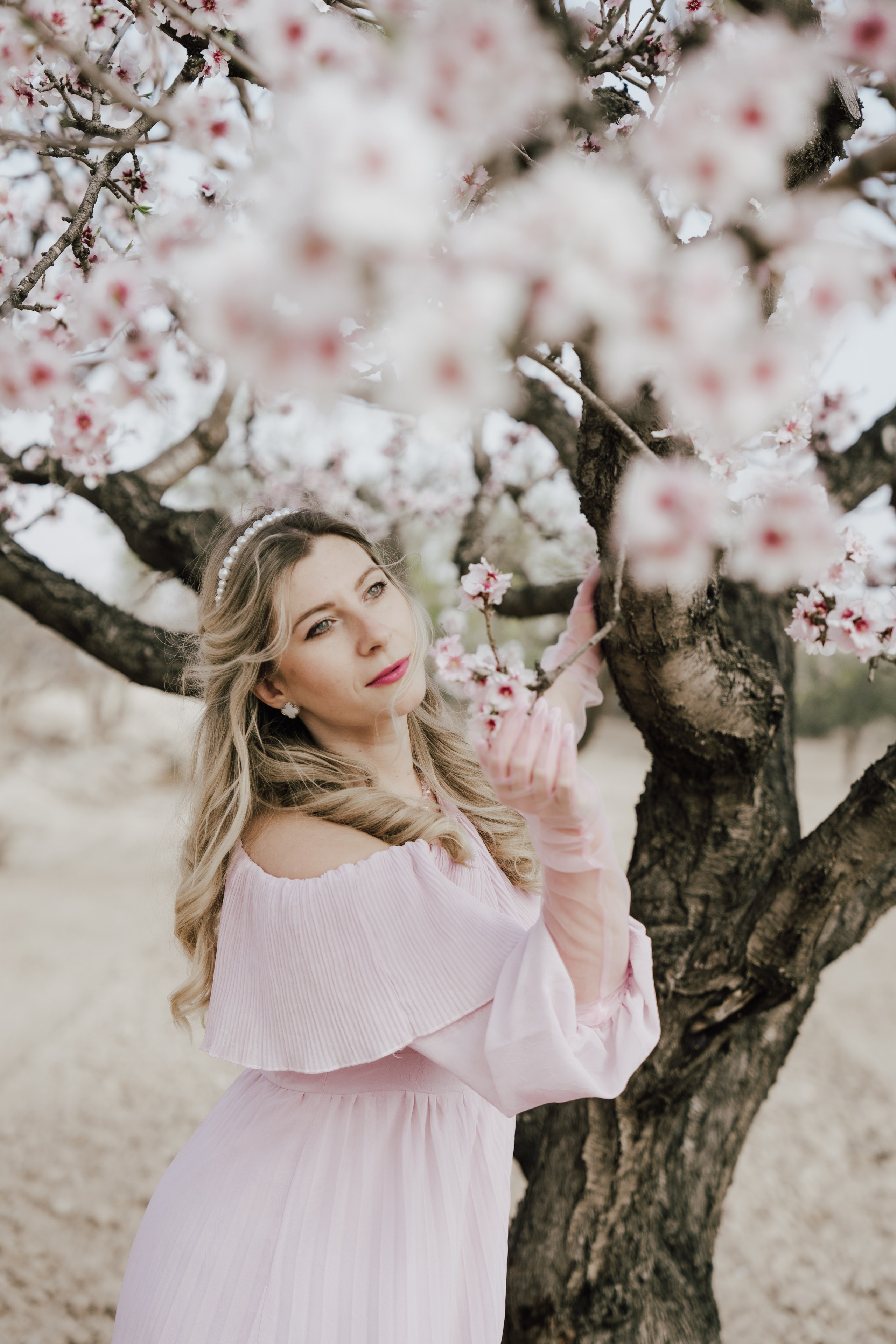 цветет миндаль, розовые цветы миндаля в Аликанте