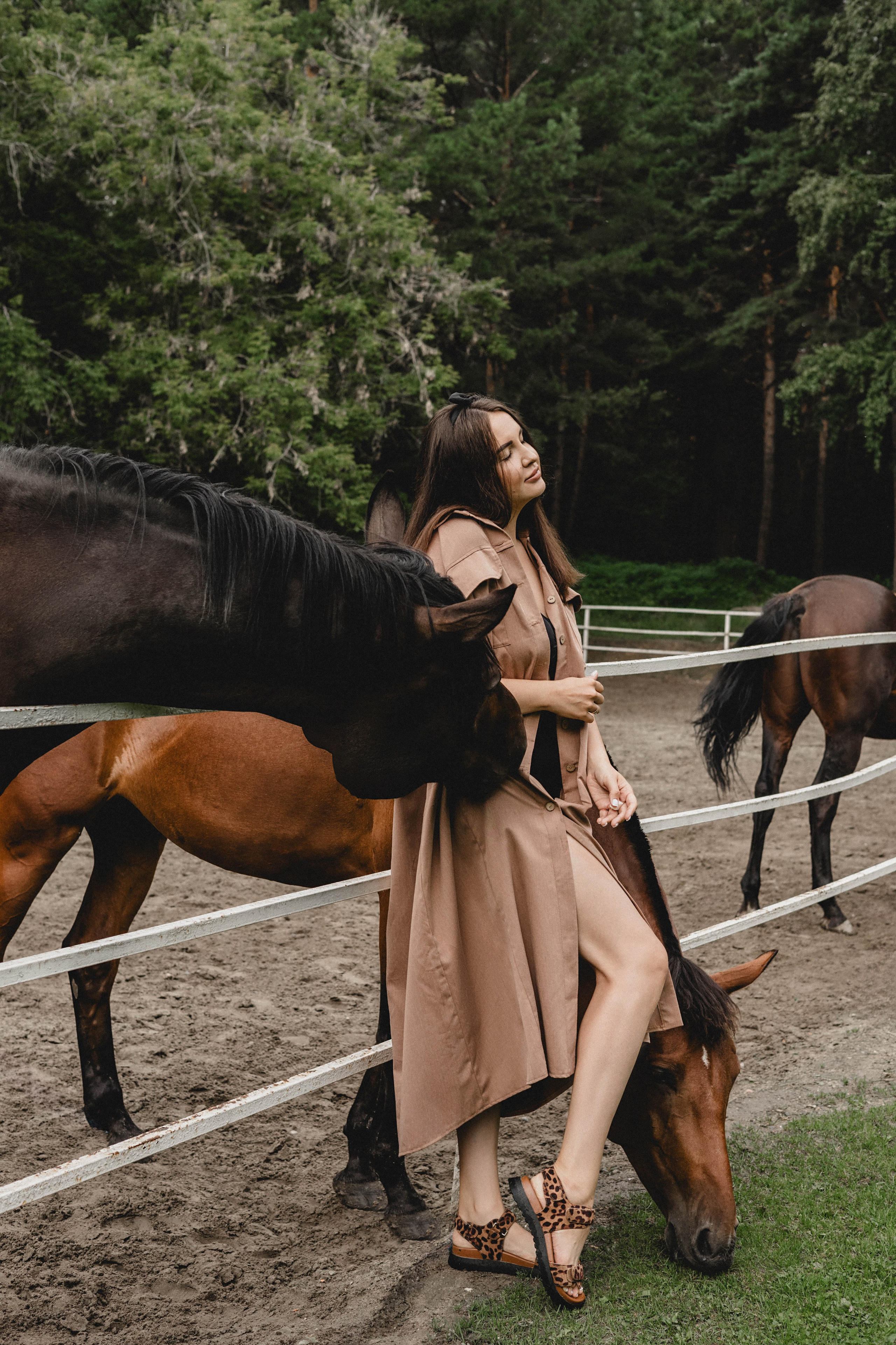 Конная фотосессия. Фотограф Новосибирск Алина Клименкова