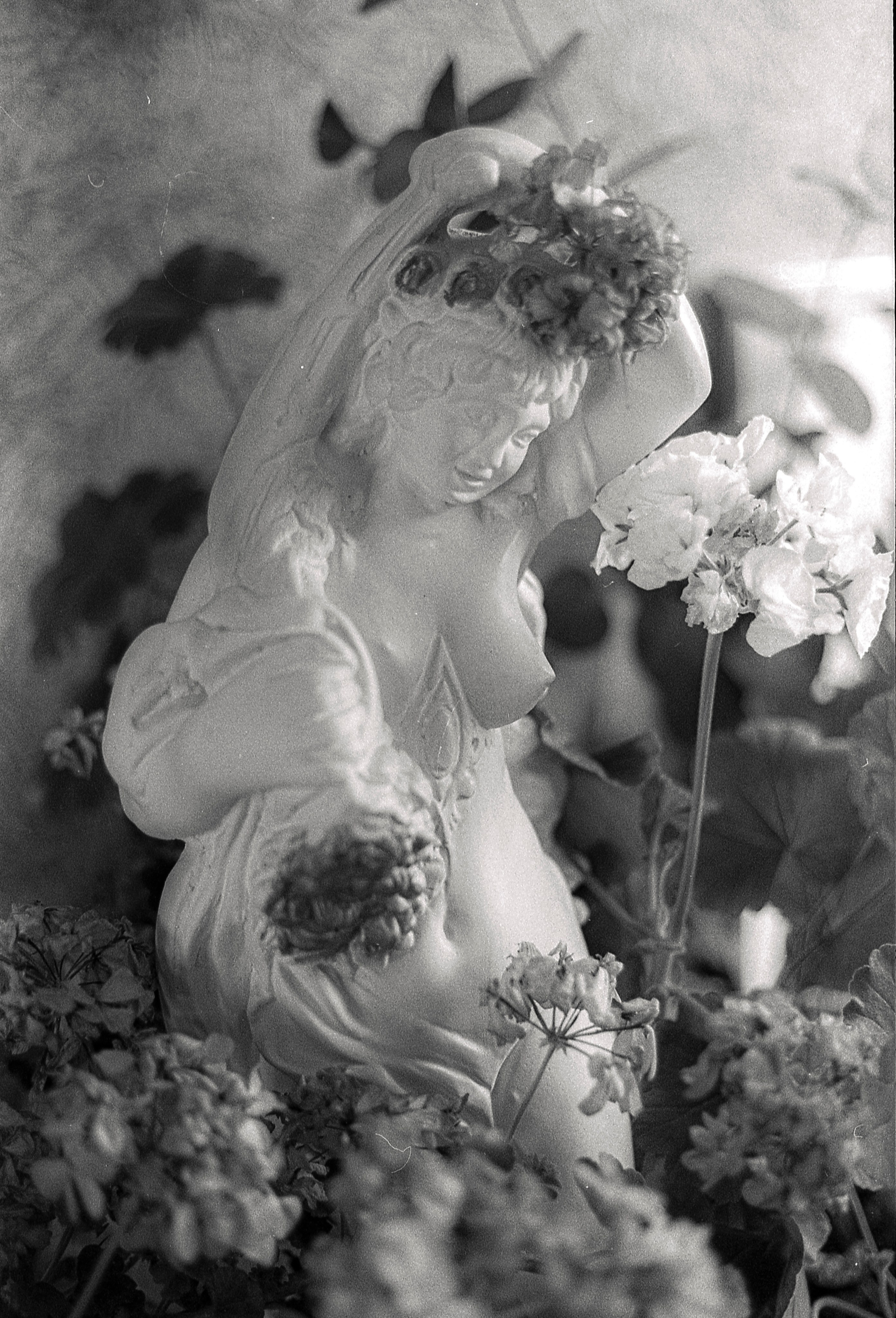 First roll of film. StepanGerasimov