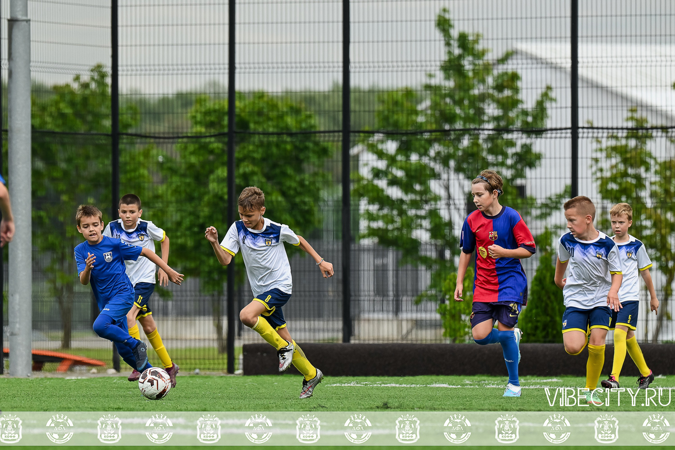 Калининградская Детская Футбольная Лига. VIBECITY.RU Вайб Сити Ру Фоторепортажи Фотоотчеты Калининград