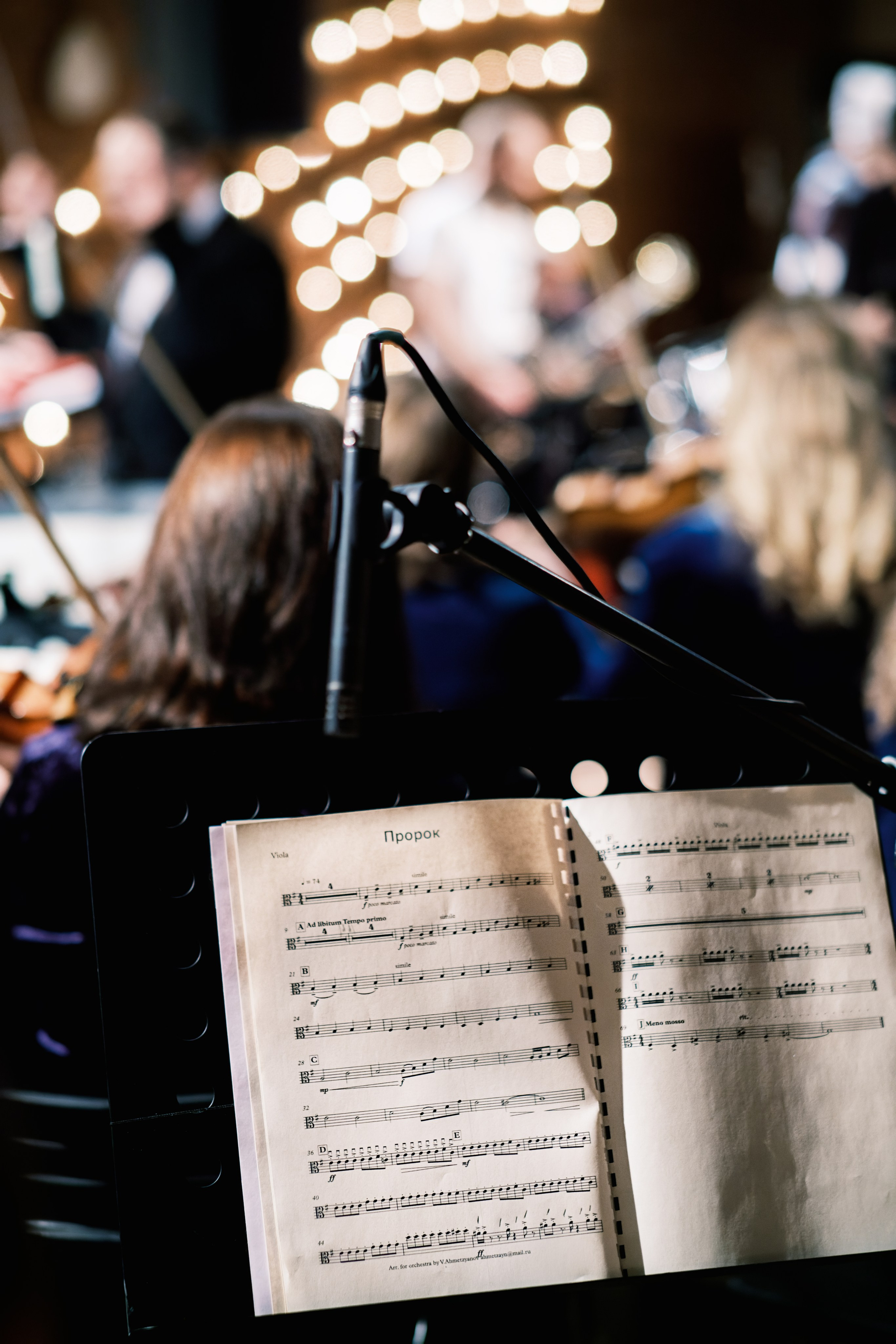 Квартирник у Маргулиса. Белов, Маршал, Кормухина. Профессиональный фотограф в Москве и МО Денис Кулешов
