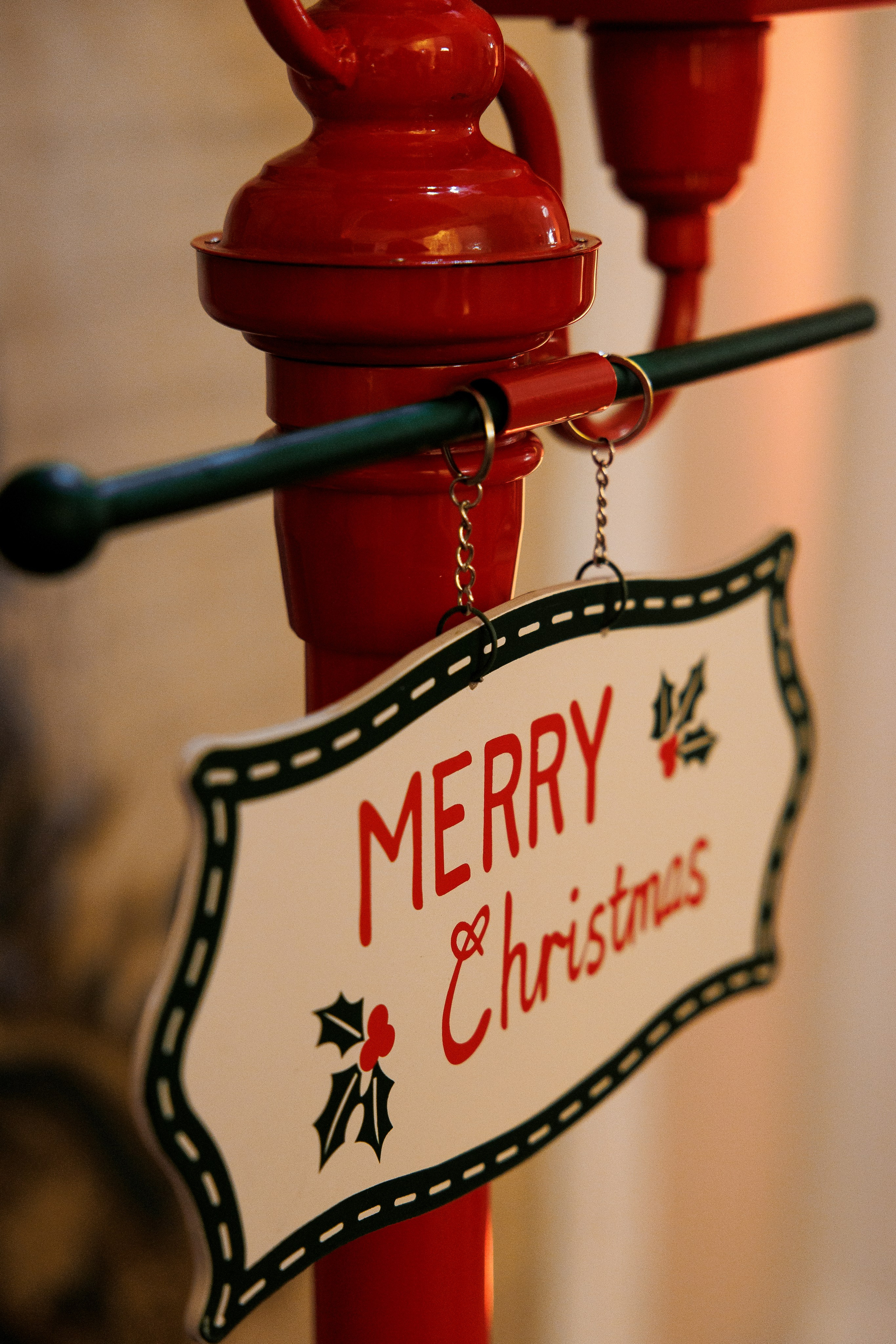 «Щелкунчик» LIONS. Свадебный фотограф Каледич Тимофей