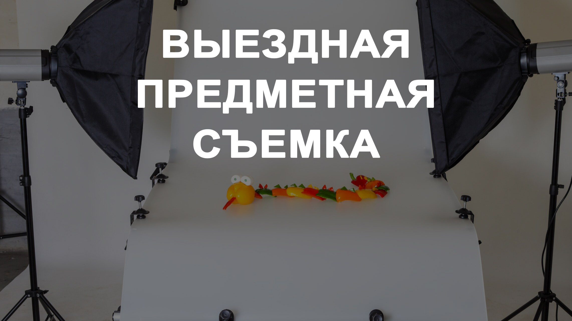 Выездная предметная съемка в Москве и области