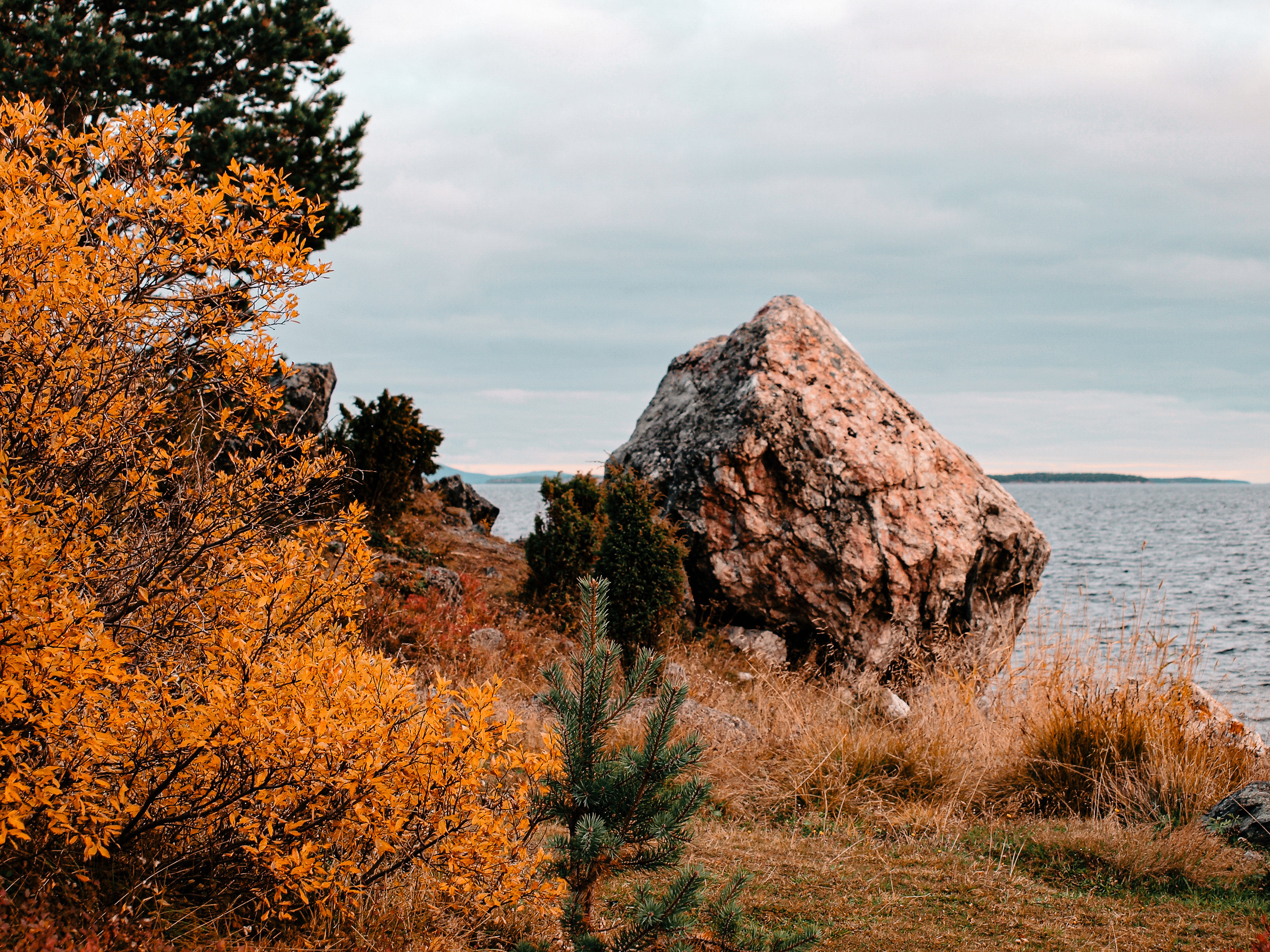 Белое море. Женя Красовская | Портретный фотограф | Визуал для брендов