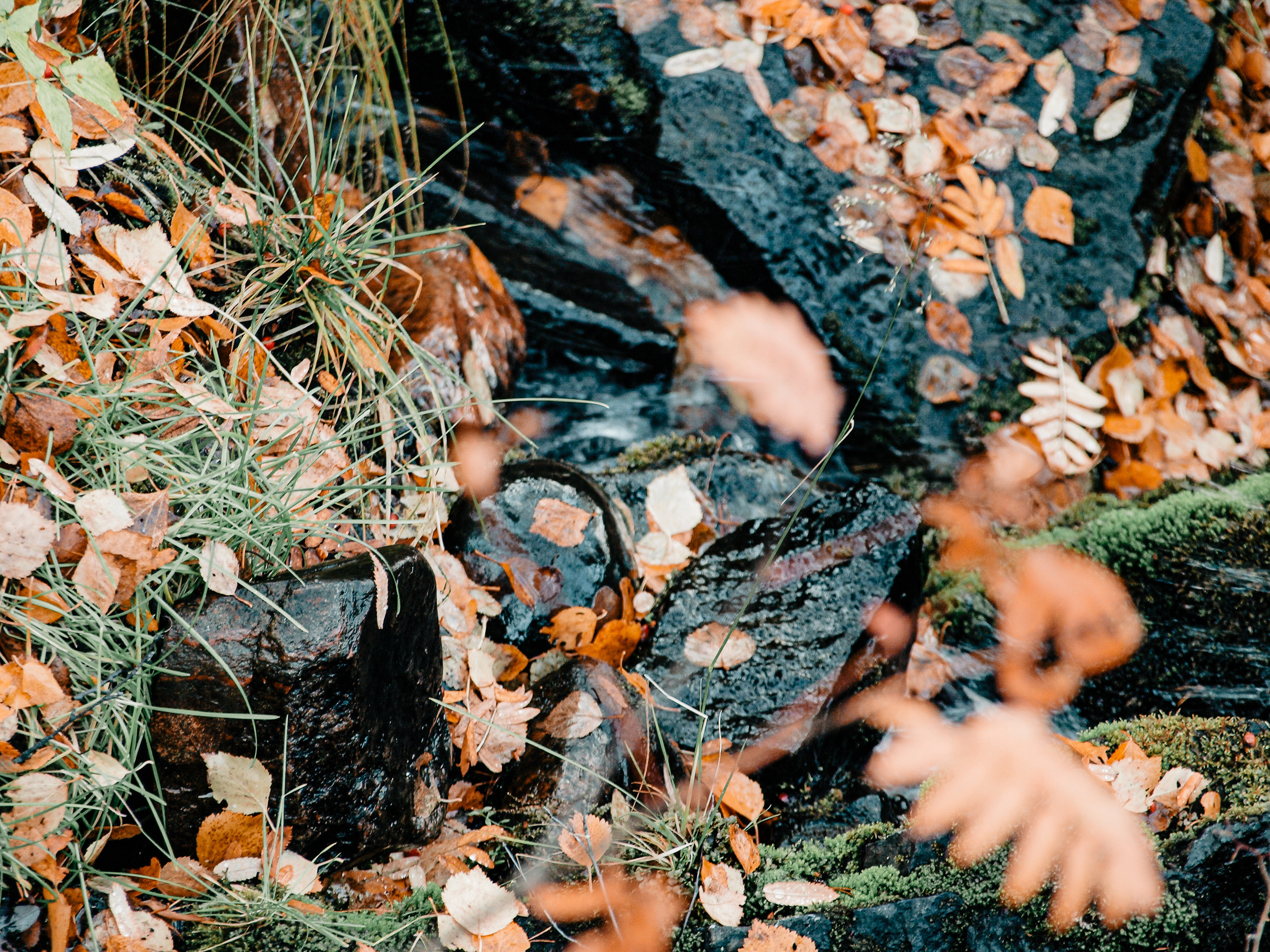 Белое море. Женя Красовская | Портретный фотограф | Визуал для брендов