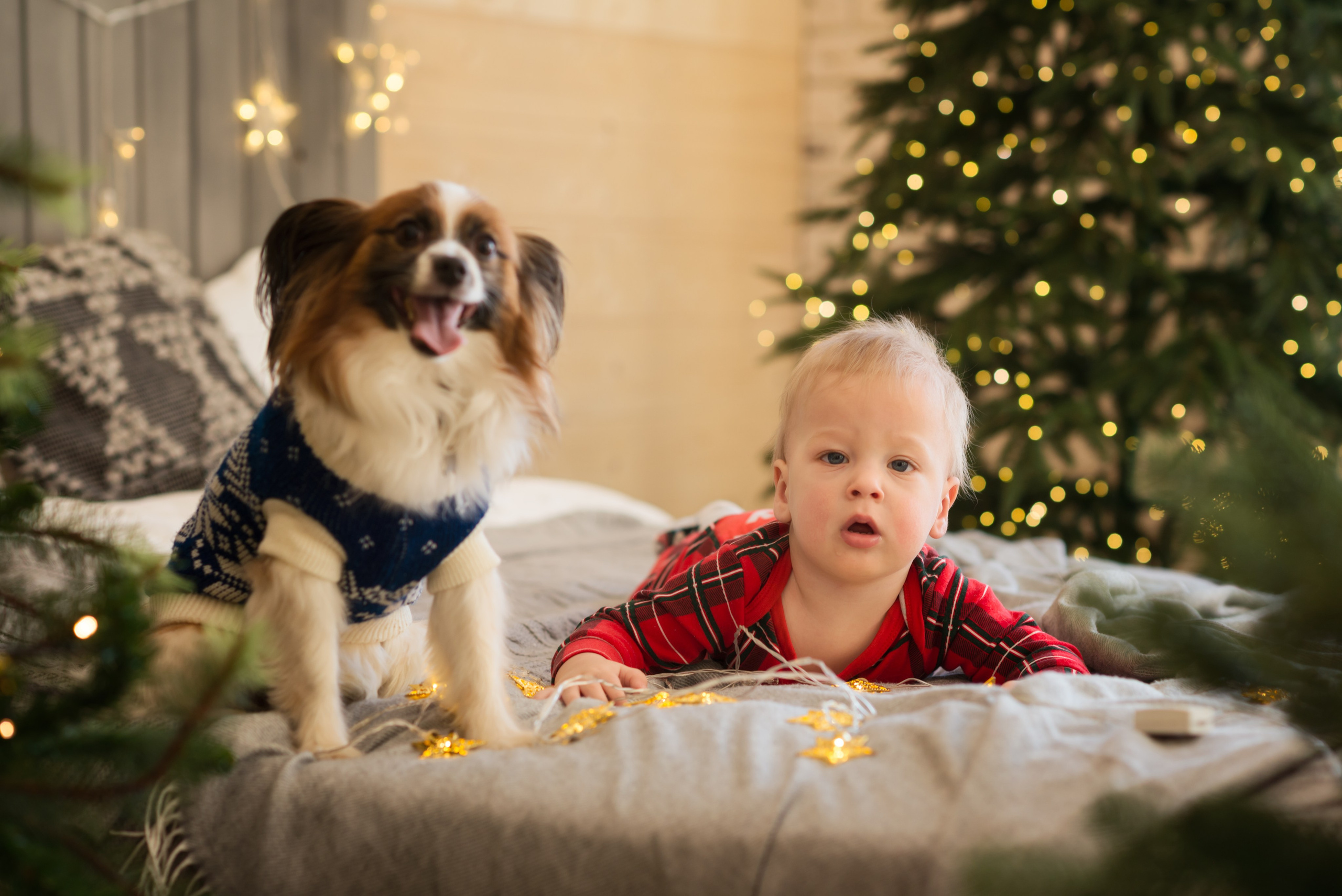 Семейный фотограф Зыкова Анастасия, работаю в Москве и области