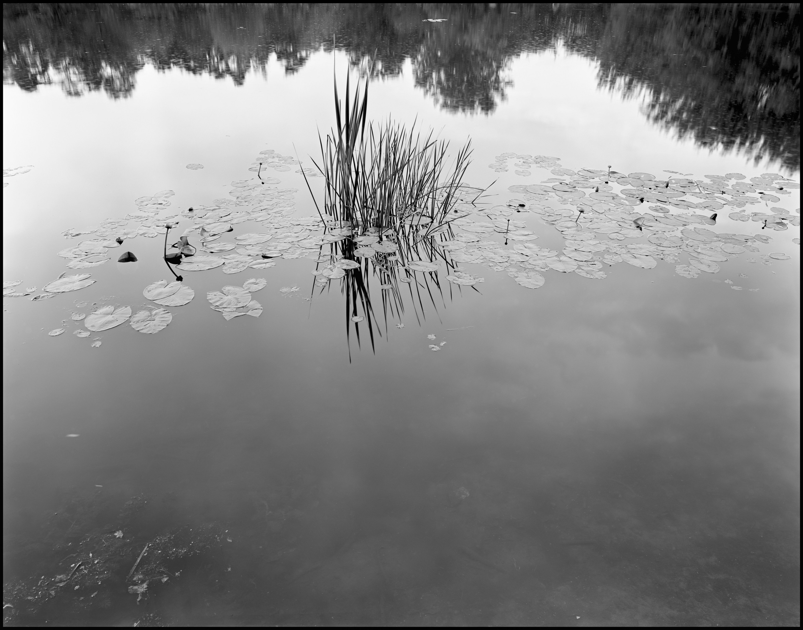 Sergey Kondriuk art-photographer | artist
