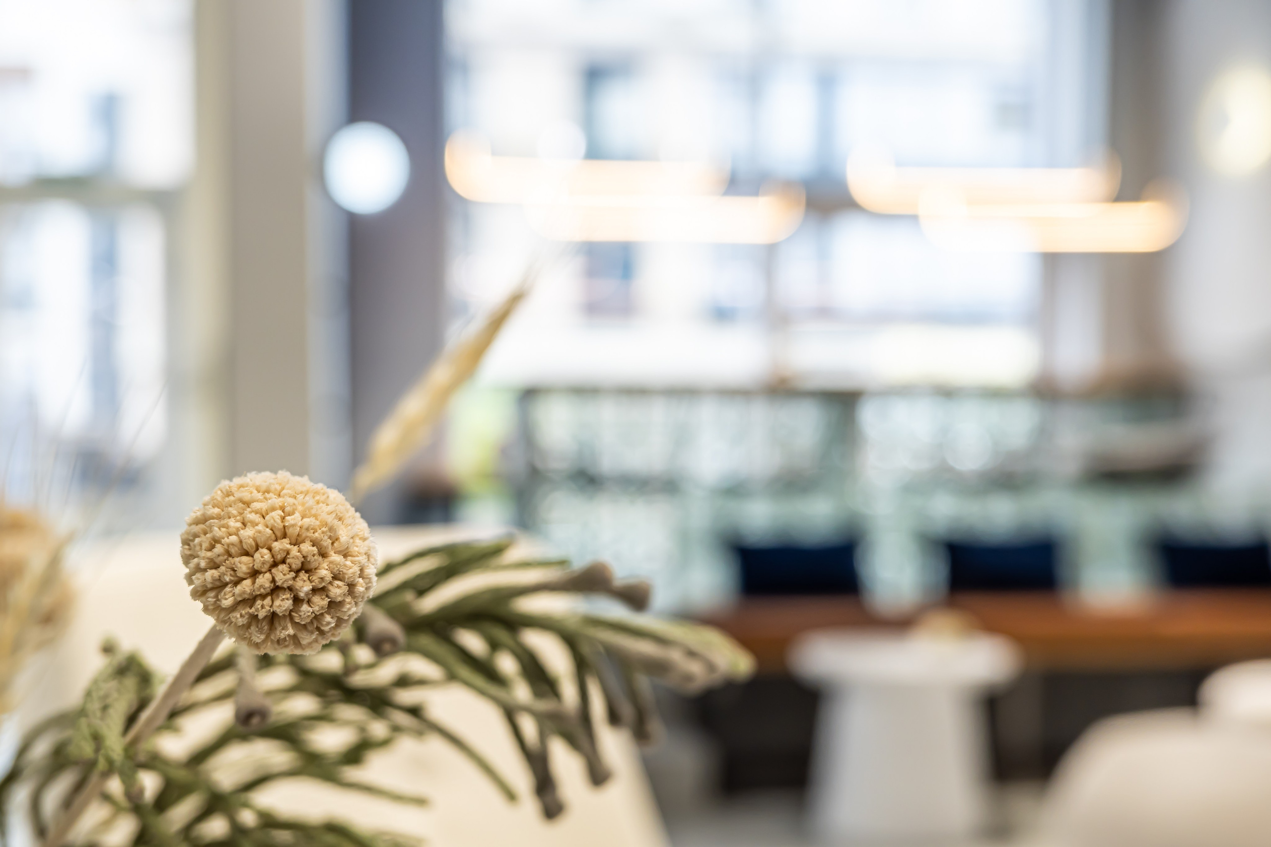 Фотосъемка коммерческих объектов — профессиональное продвижение бизнеса