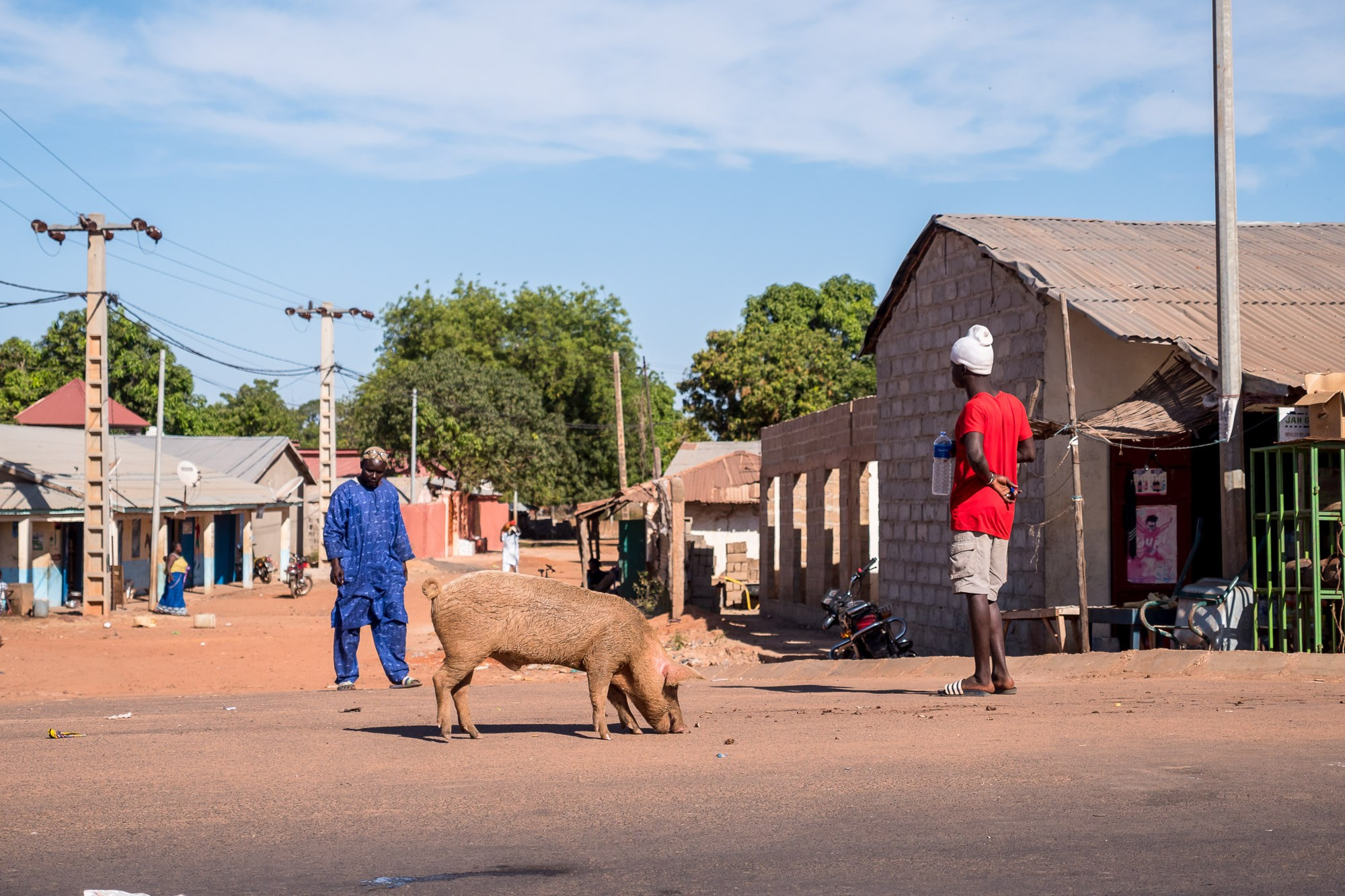Путешествие по Гамбии (Западная Африка).Traveling in Gambia (West Africa.). Фотограф Алексей Скоробогатько