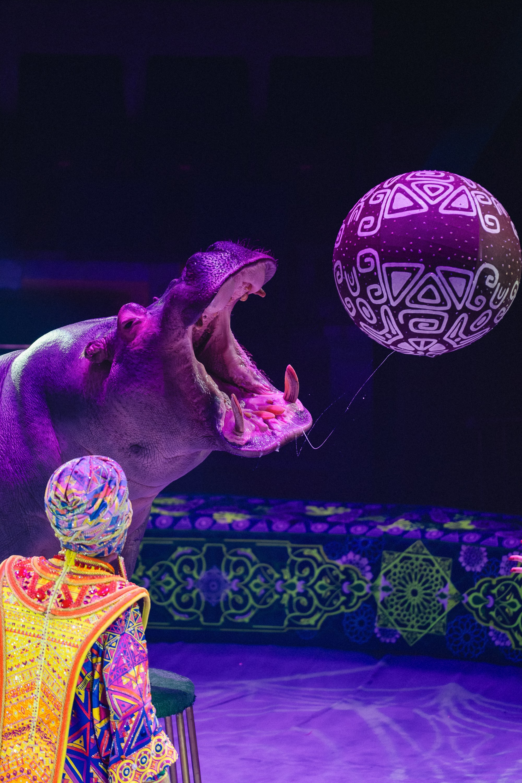 Пресс-показ шоу «Песчаная Сказка». Воробьева Ксения — Спортивный и танцевальный фотограф Новосибирск