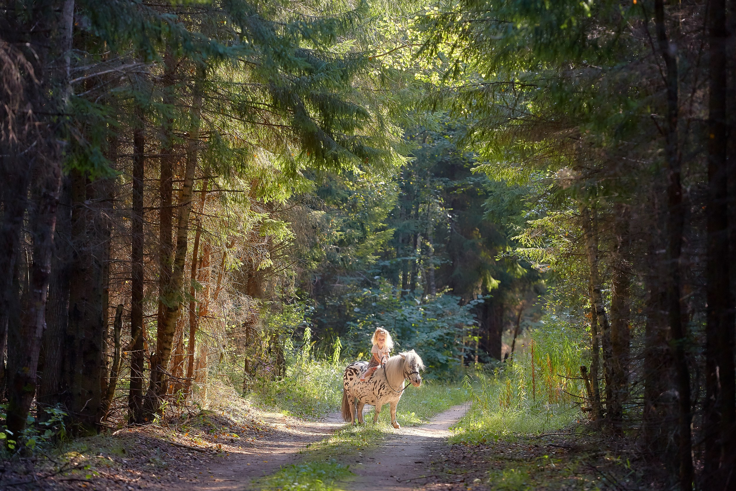 Фотосессия с лошадьми Фотограф Михаил Семенов, г. Ярославль