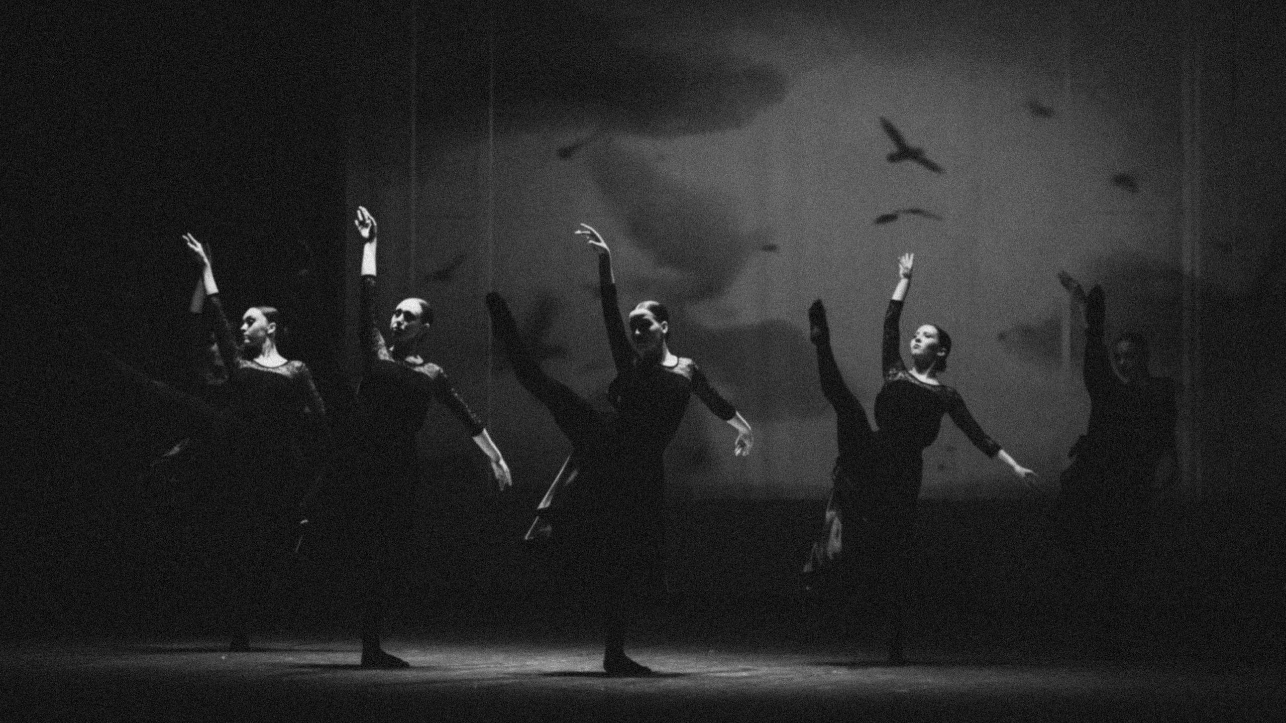 Танец — это язык, которым говорят тела, когда словам уже тесно