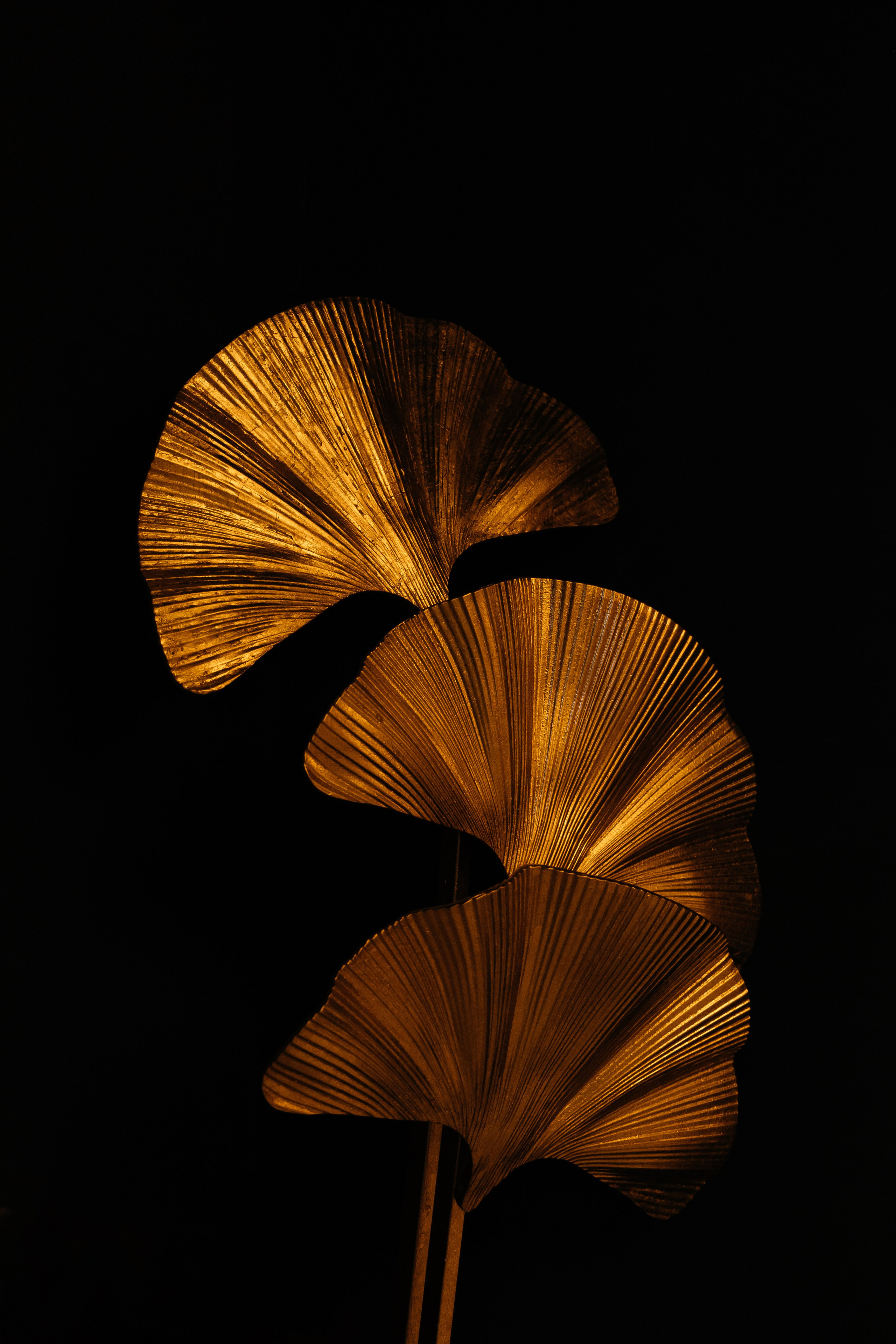 Все виды съёмок. Фотограф Таганрог Хребет София