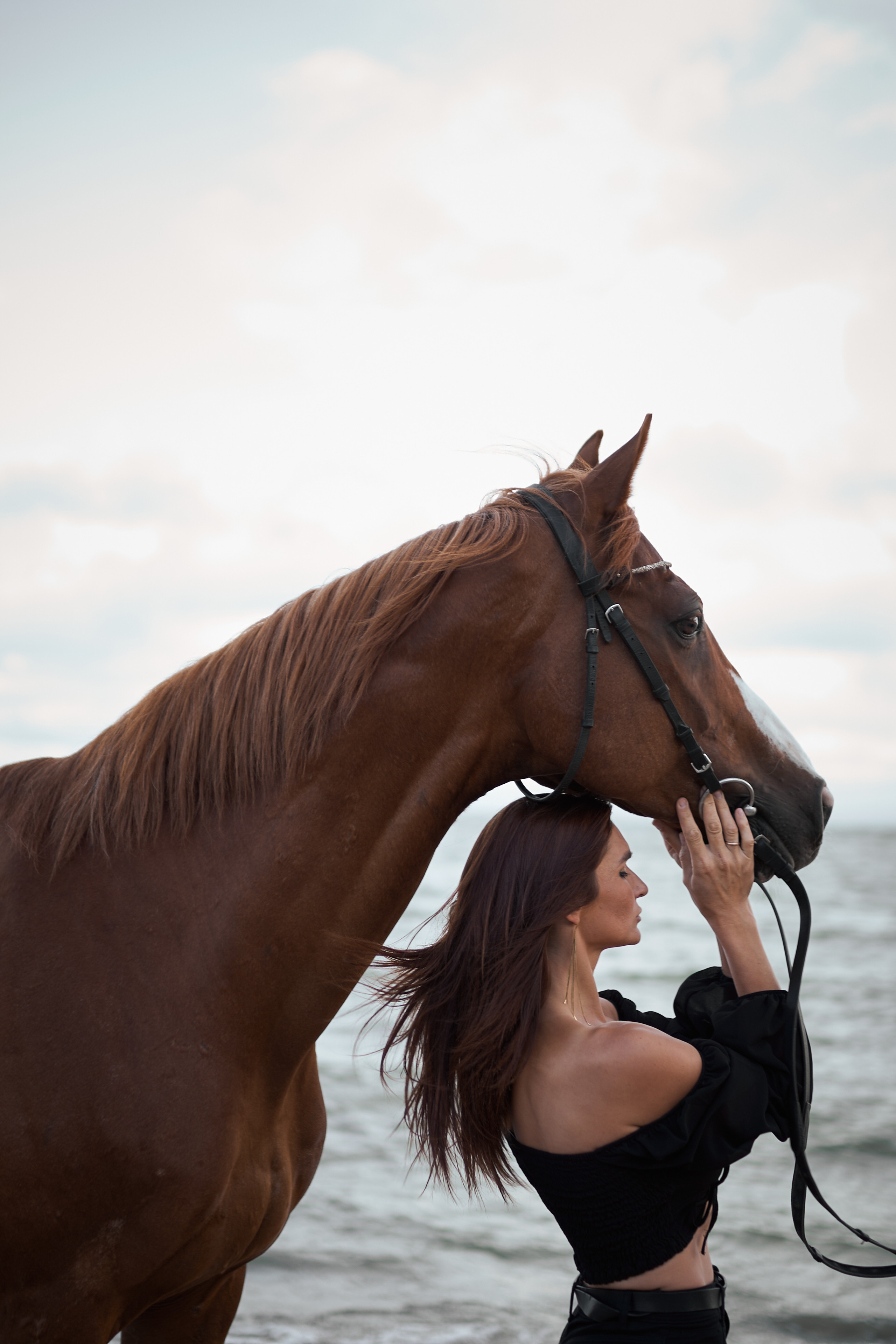Фотосессии с лошадьми в Москве, Новосибирске